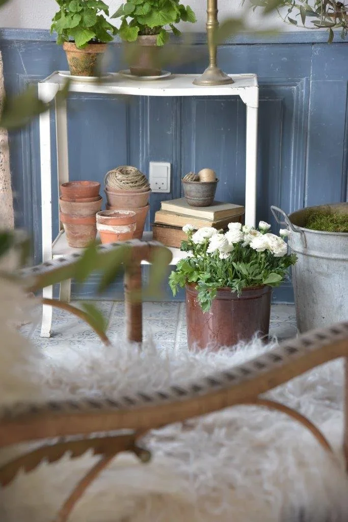 Nærbillede ad krukker og blomster