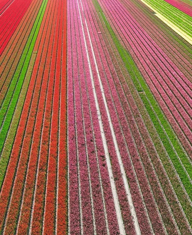 dji_fly_20250419_181632_0076_1745084568055_photo_red.jpg