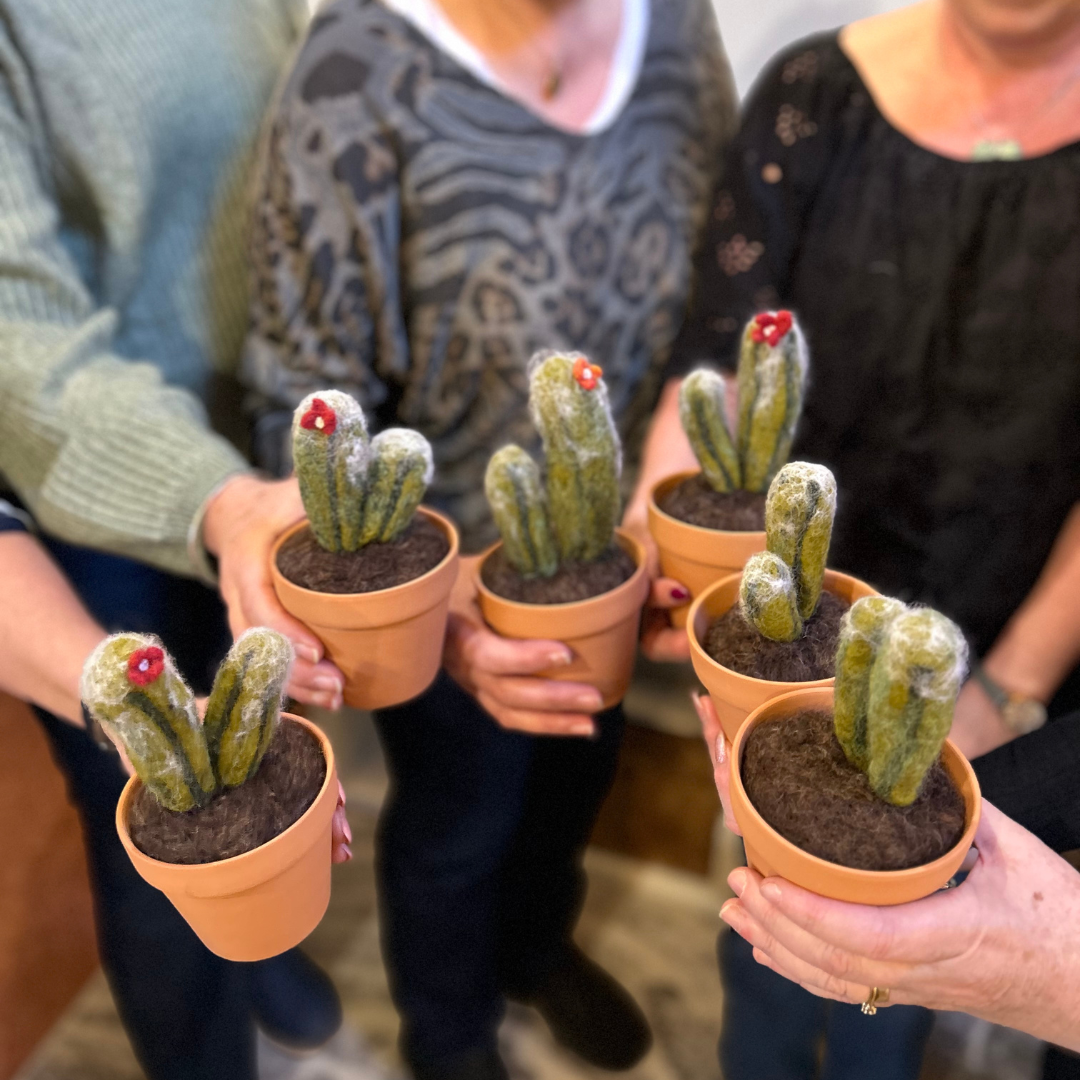 Four women holding small terracotta pots with fuzzy green cactus plants, some with tiny red flowers on top.