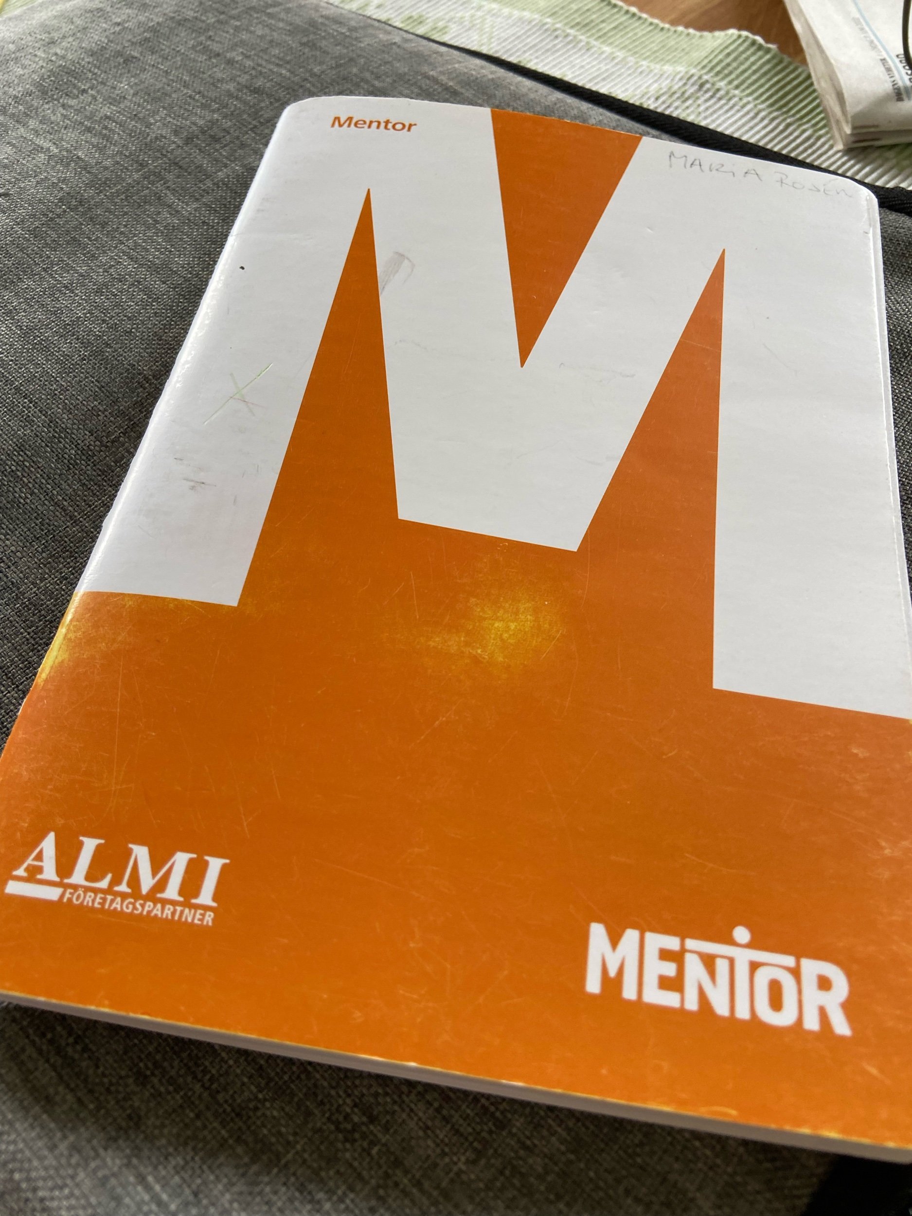 Mentor- ett givande uppdrag!