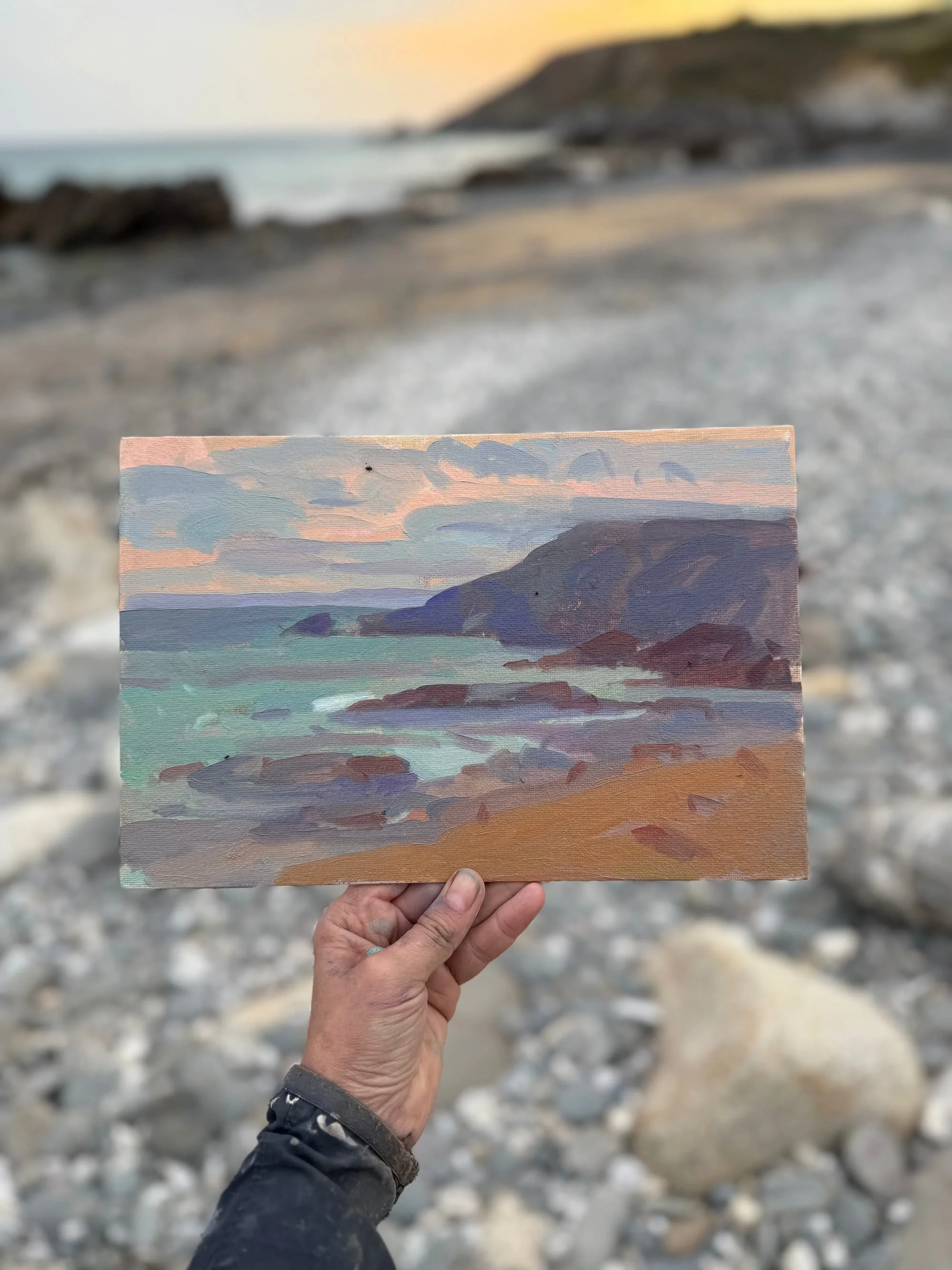 First Acquaintance, Dollar Cove.jpg