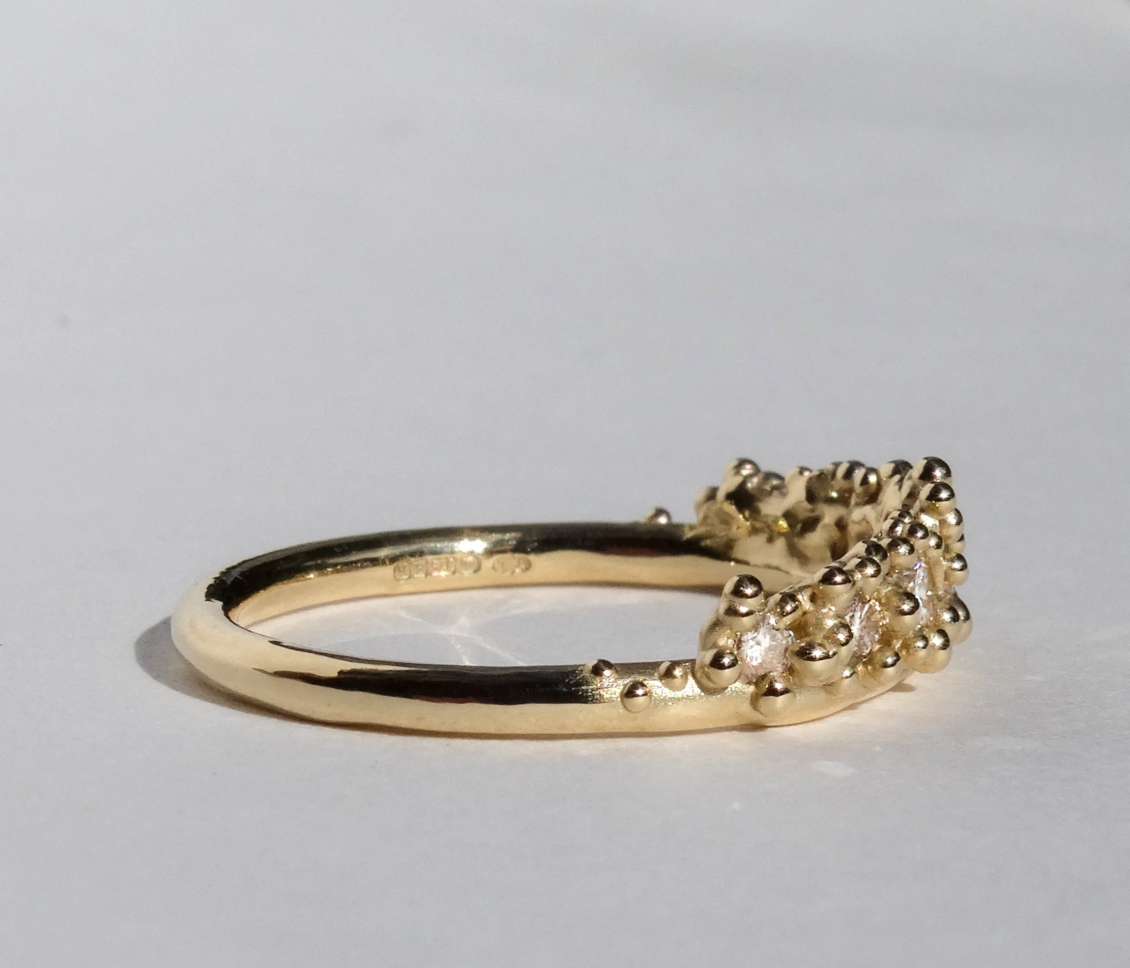 Coral Crown-4.jpg
