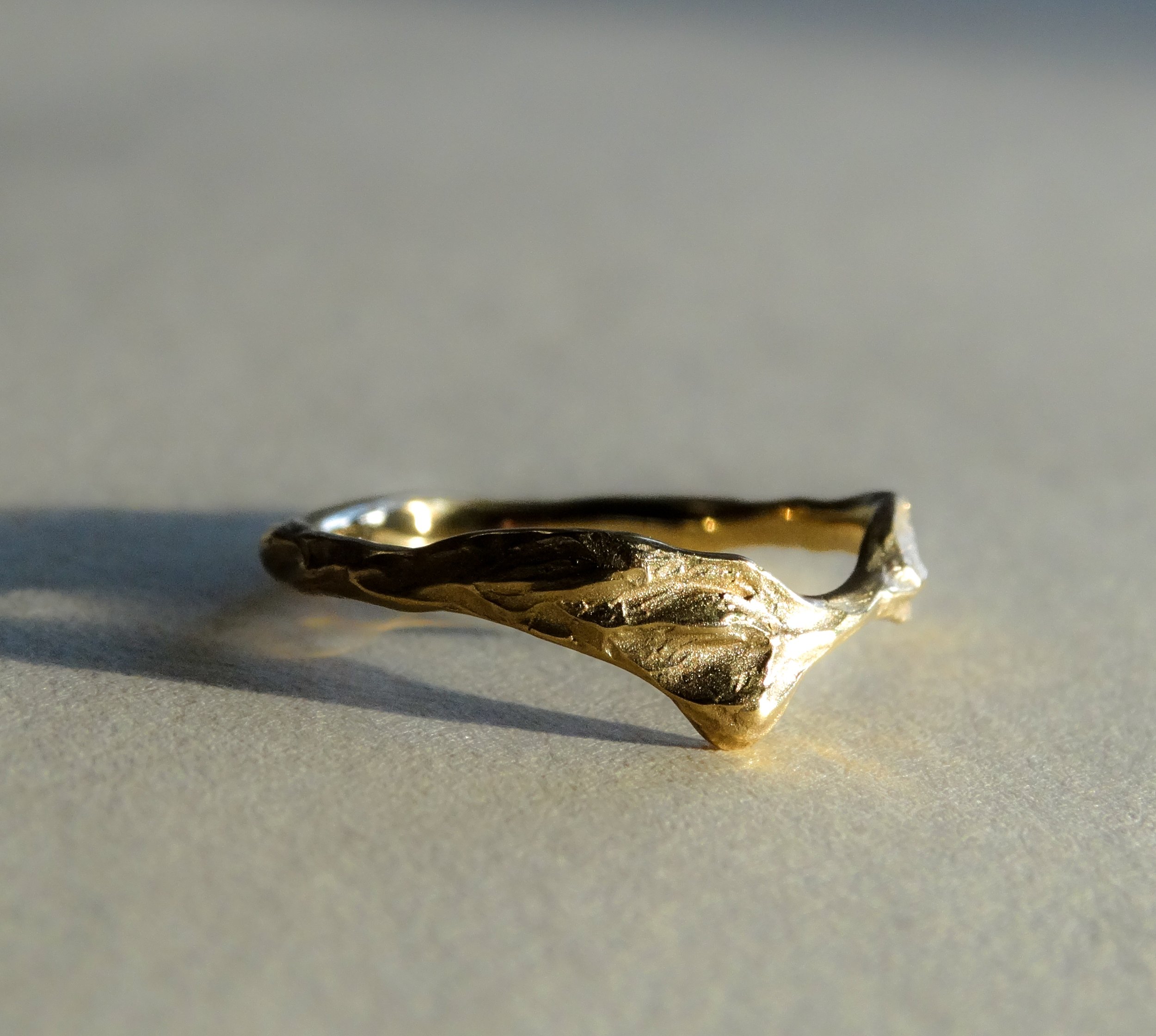Ice Melt Ring.jpg