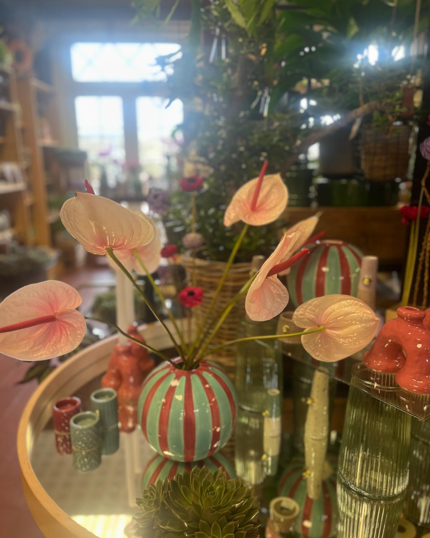 NYHEDER I BUTIKKEN 👏🏻🍇

Flotte anthurium i sk&oslash;nne farver og flotte vaser der matcher 🙌🏻🤩