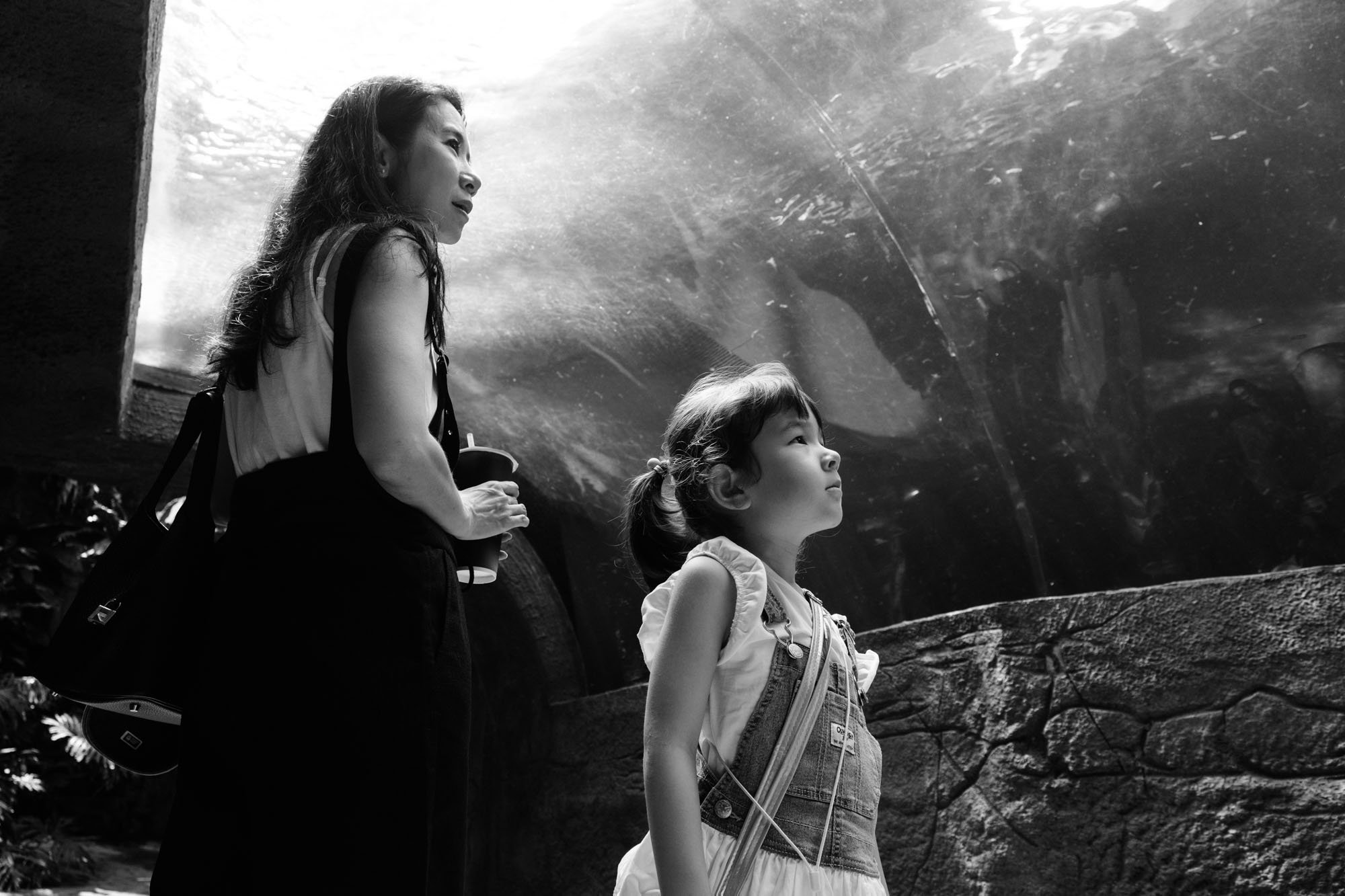 A mother and daughter are standing inan aquarium tunnel with beautiful light shining through the water at the Taipei Zoo.