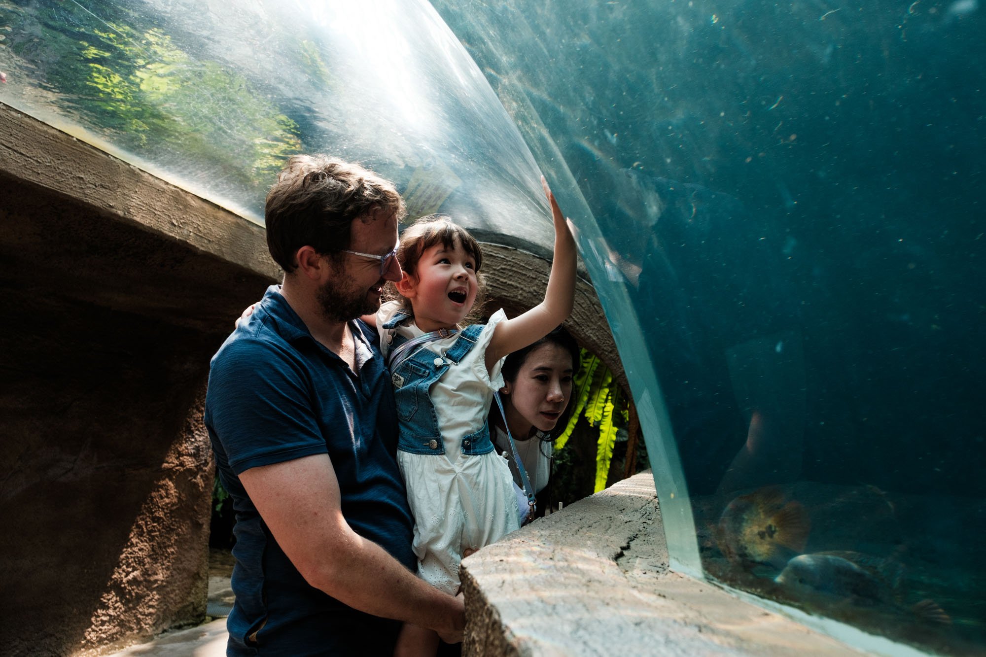 A father holds up his daughter as she touches the glass of an aquarium at the Taipei Zoo.