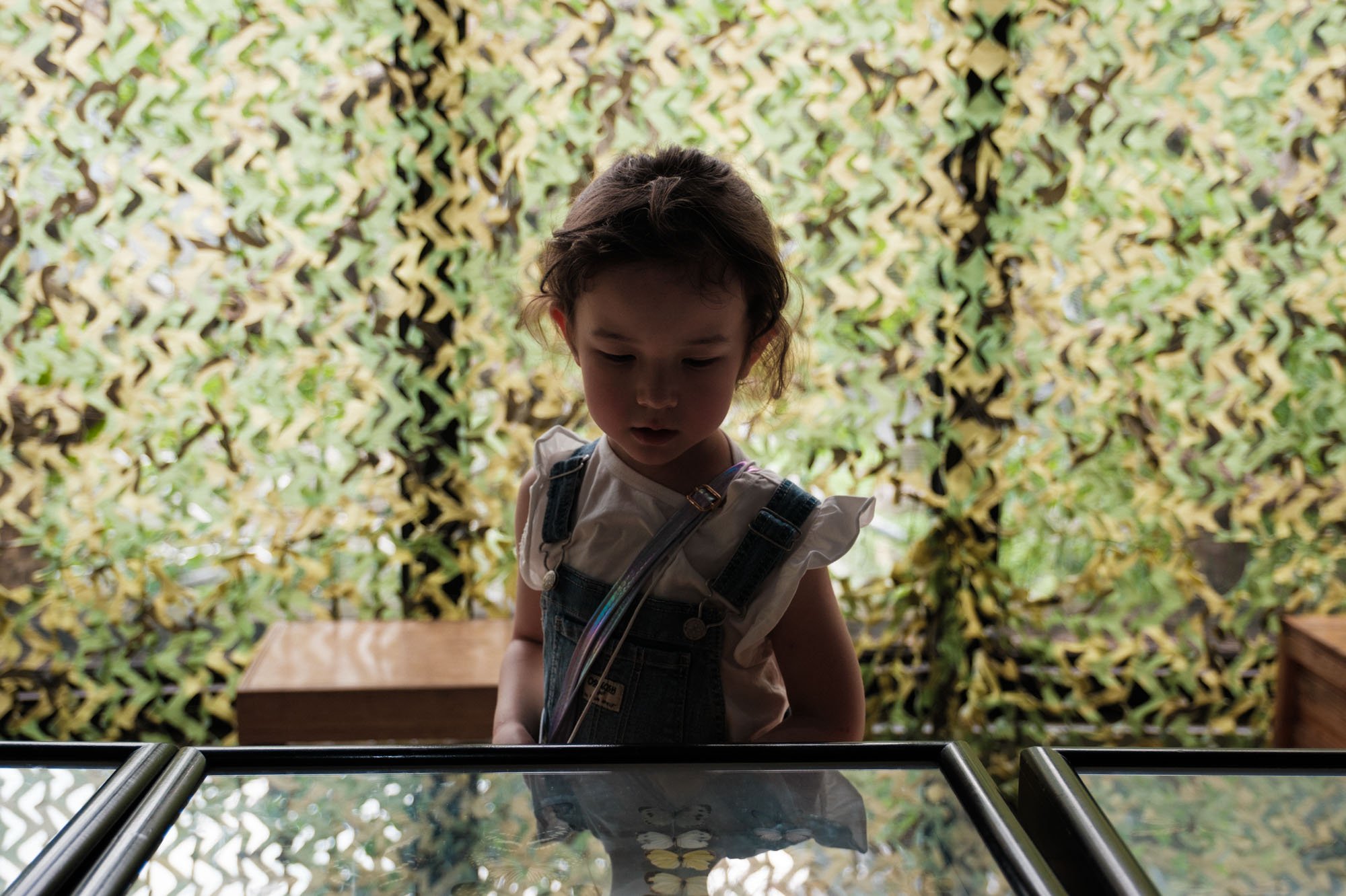 A little girl looks at pinned butterflies in a case at the Taipei Zoo in Taiwan.