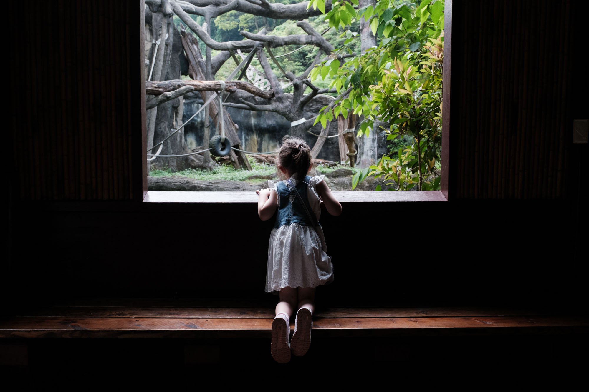 A little girl looks out at the ape enclosure at the Taipei Zoo.