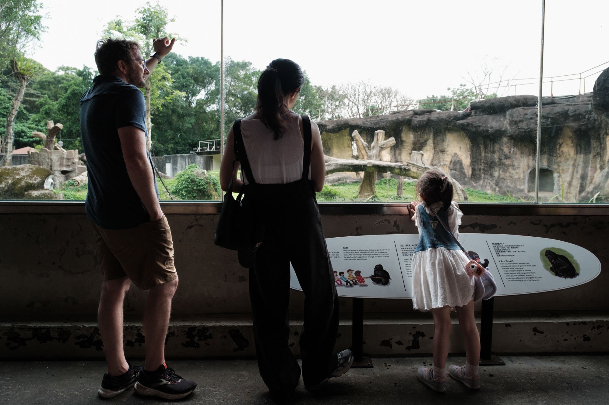 A family stands and looks at chimpanzees at the Taipei Zoo in Taiwan. 
