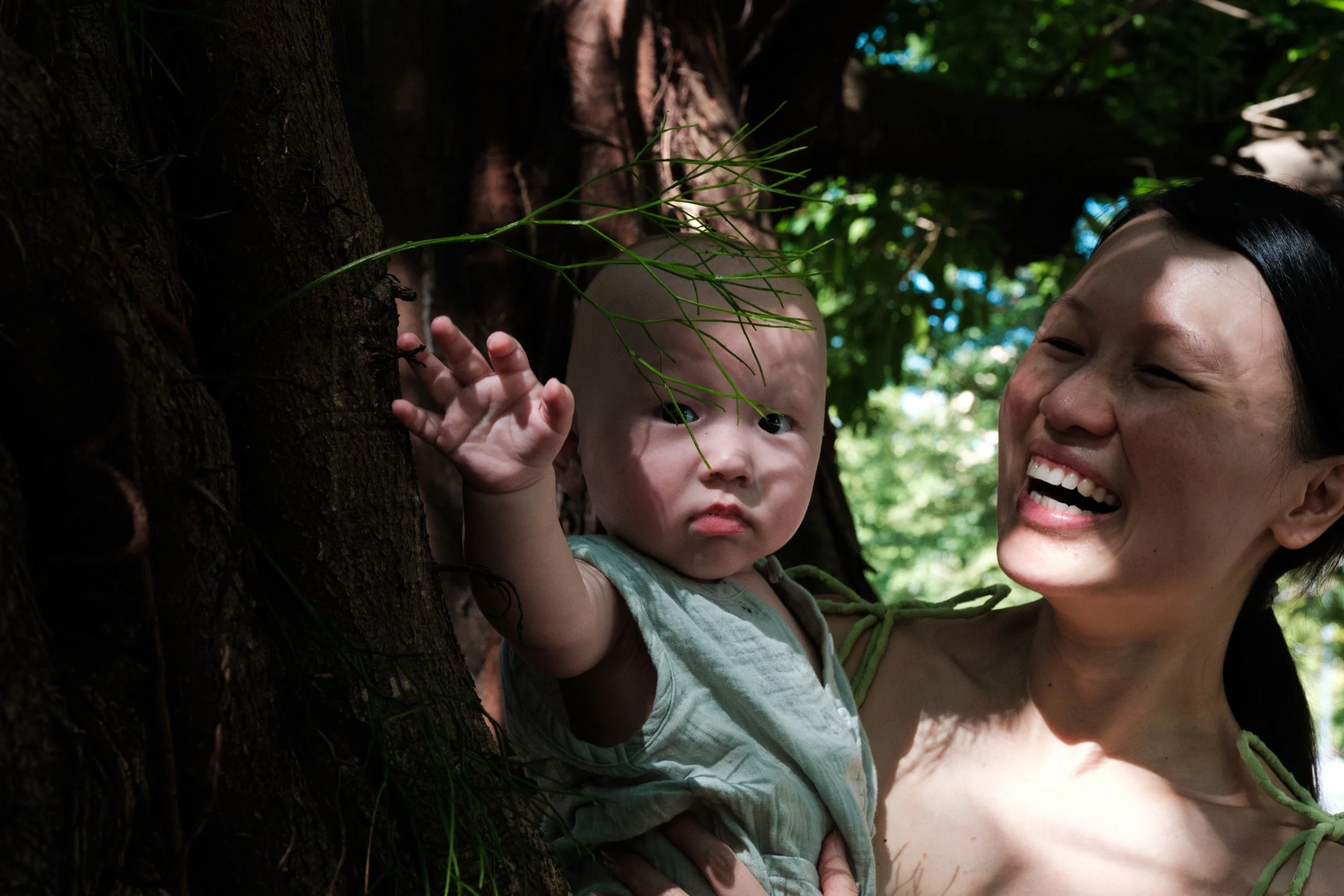 A color photo of a woman holding her baby up to leaves on a tree in a Taipei park. The baby is reaching for the leaves with his hand.