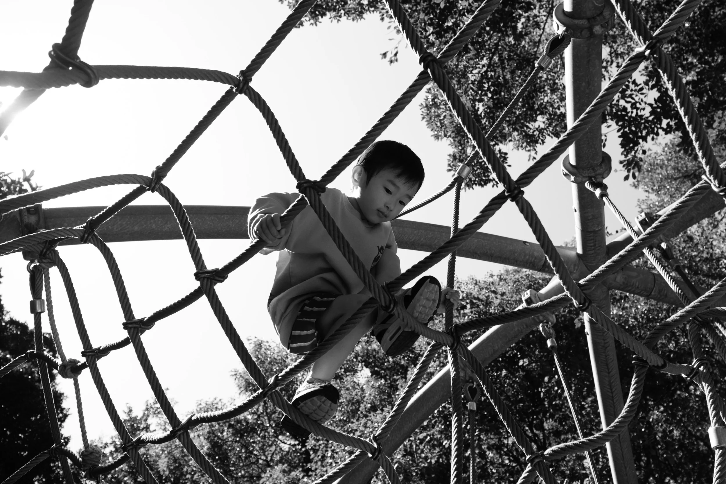 A little boy is climbing a tope jungle gym on a playground in Tienmu during an outdoor taipei family photoshoot.