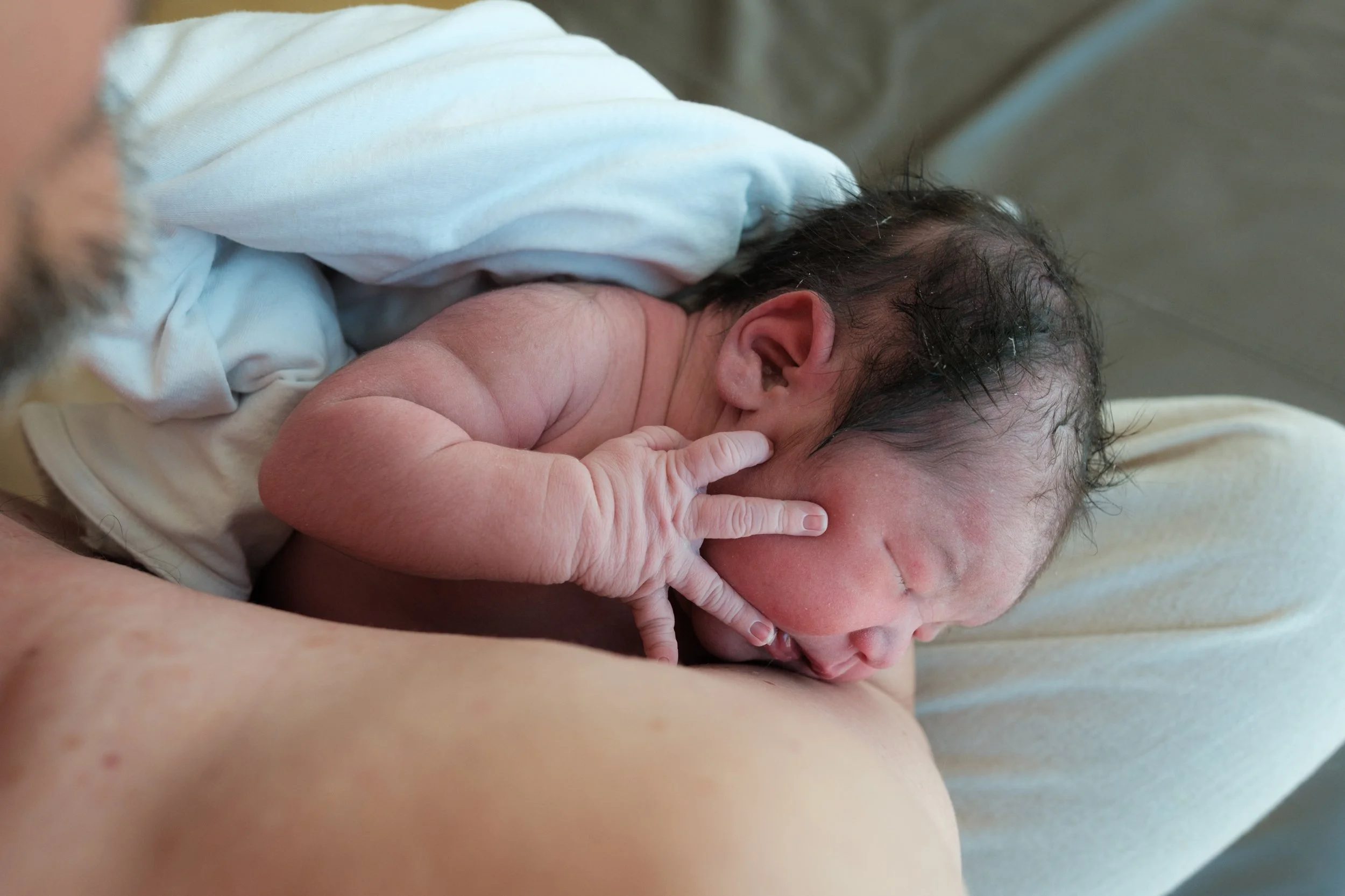 Birth photography in Taipei, Taiwan — close-up of a newborn skin-to-skin with father at Dianthus, tiny fingers on his face.