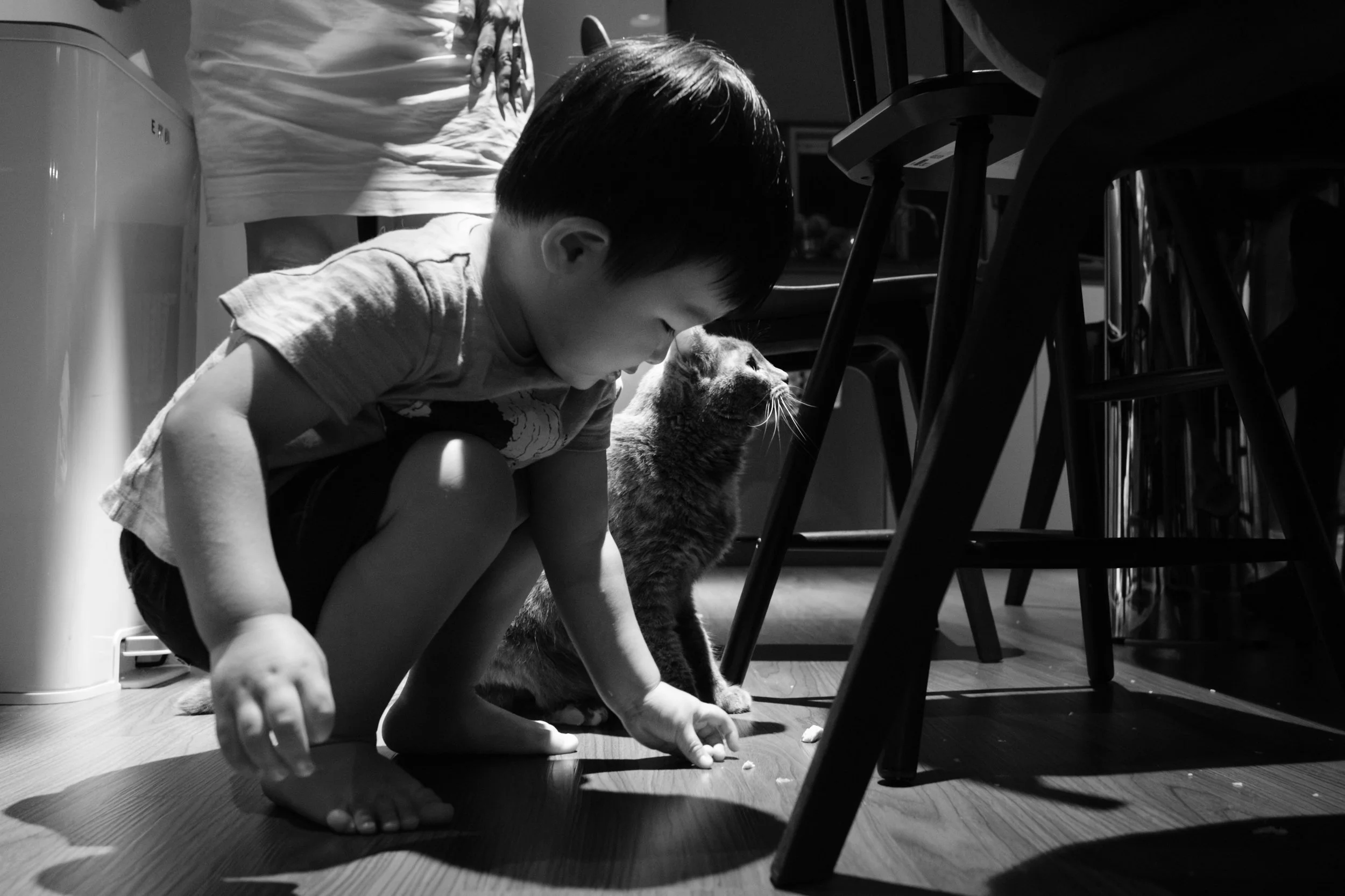 Taipei family photographer documentary photo of a toddler boy and the family cat on the kitchen floor during an at-home bedtime session.