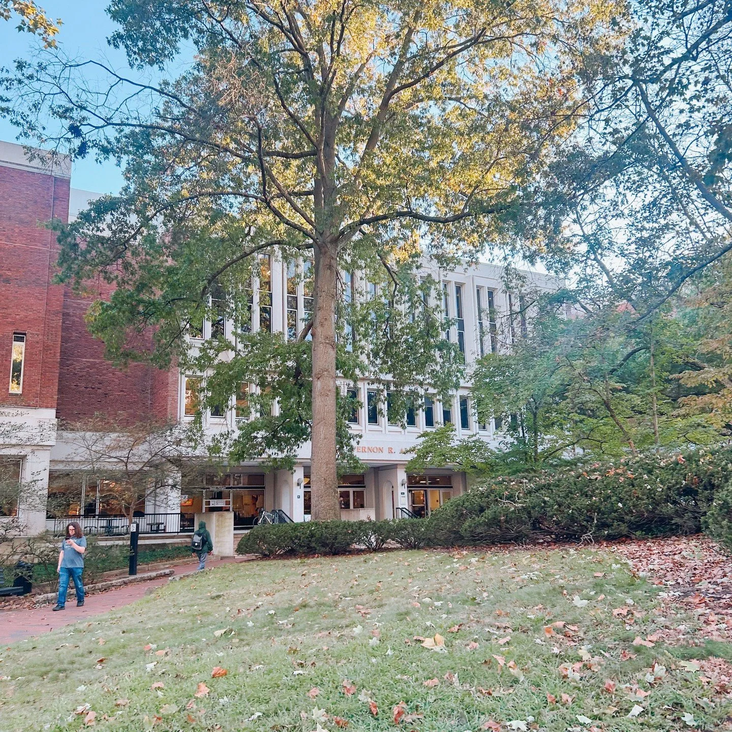 Fall on College Green🥰📚️