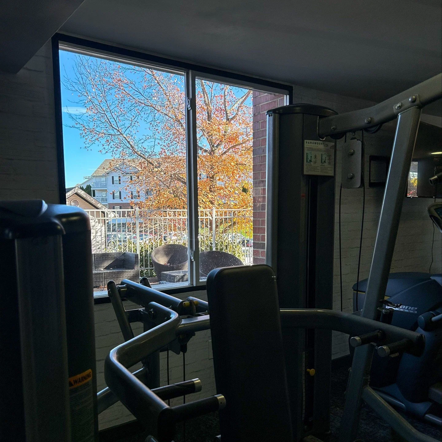 Work out with a view💪