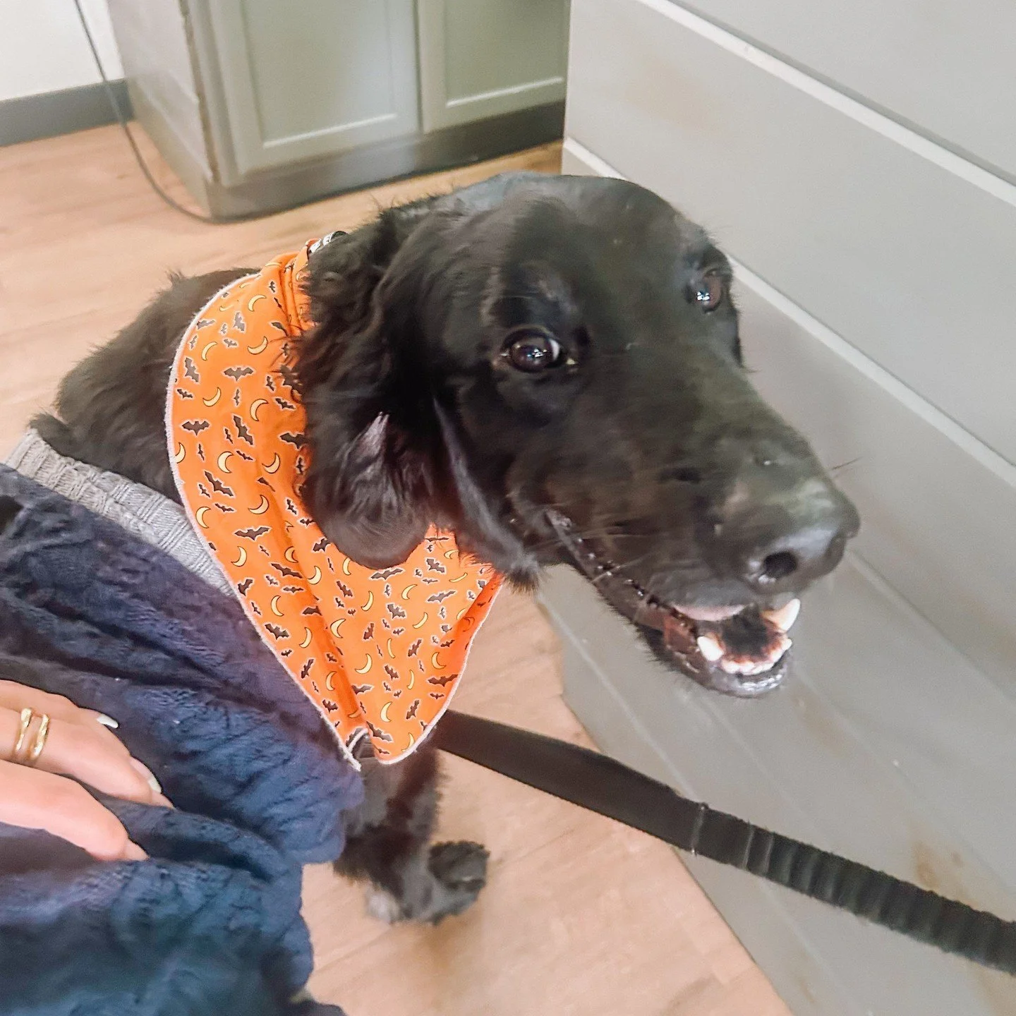 Big smiles from the River Park leasing office 🐶