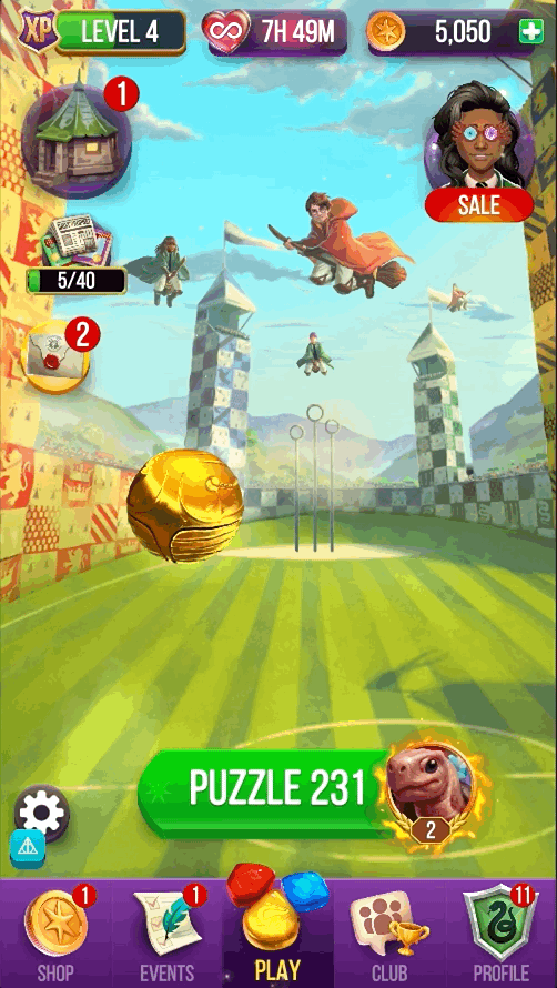 scene_quidditch.gif