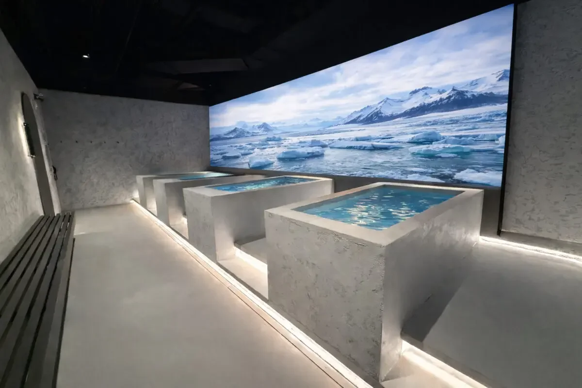 Blitz-scalling a Local Toronto business ~3000 Instagram followers in 12 days