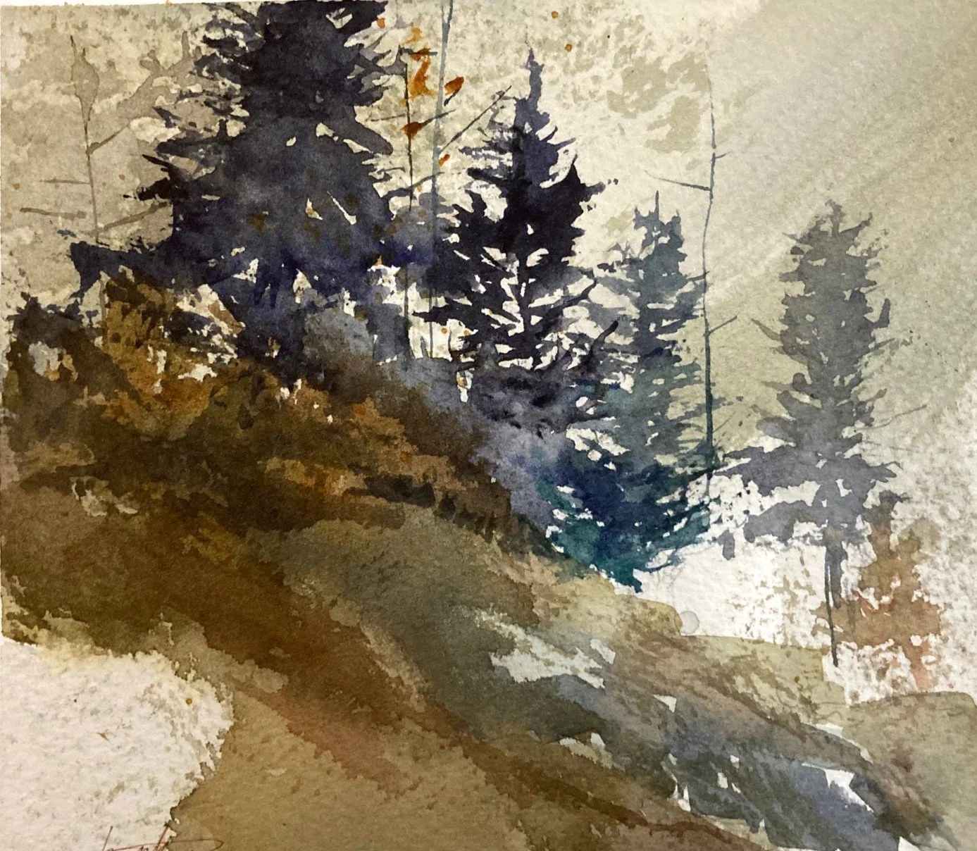 landscape pine one.jpeg