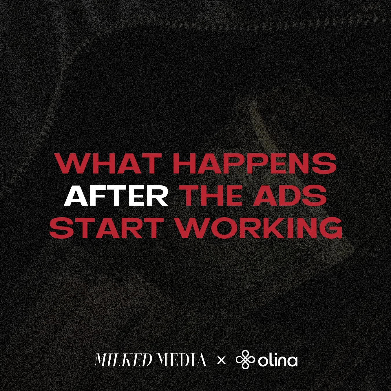 What happens after the ads start working - Milked Media X Olina