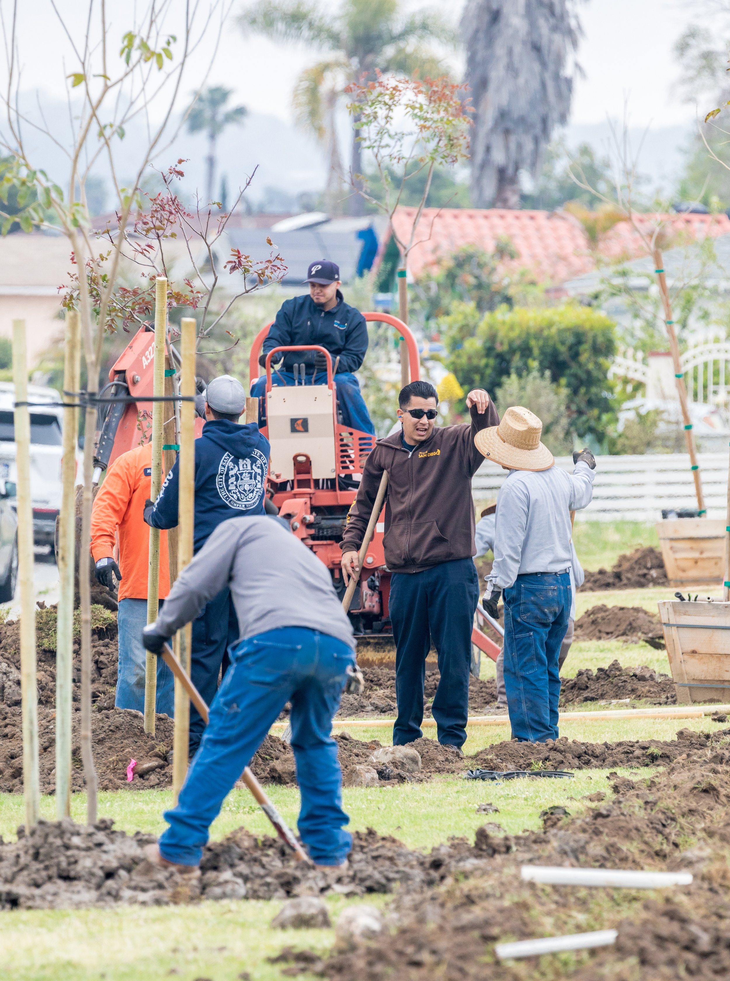 MesaVerdeParkTreePlanting(73of107).jpg