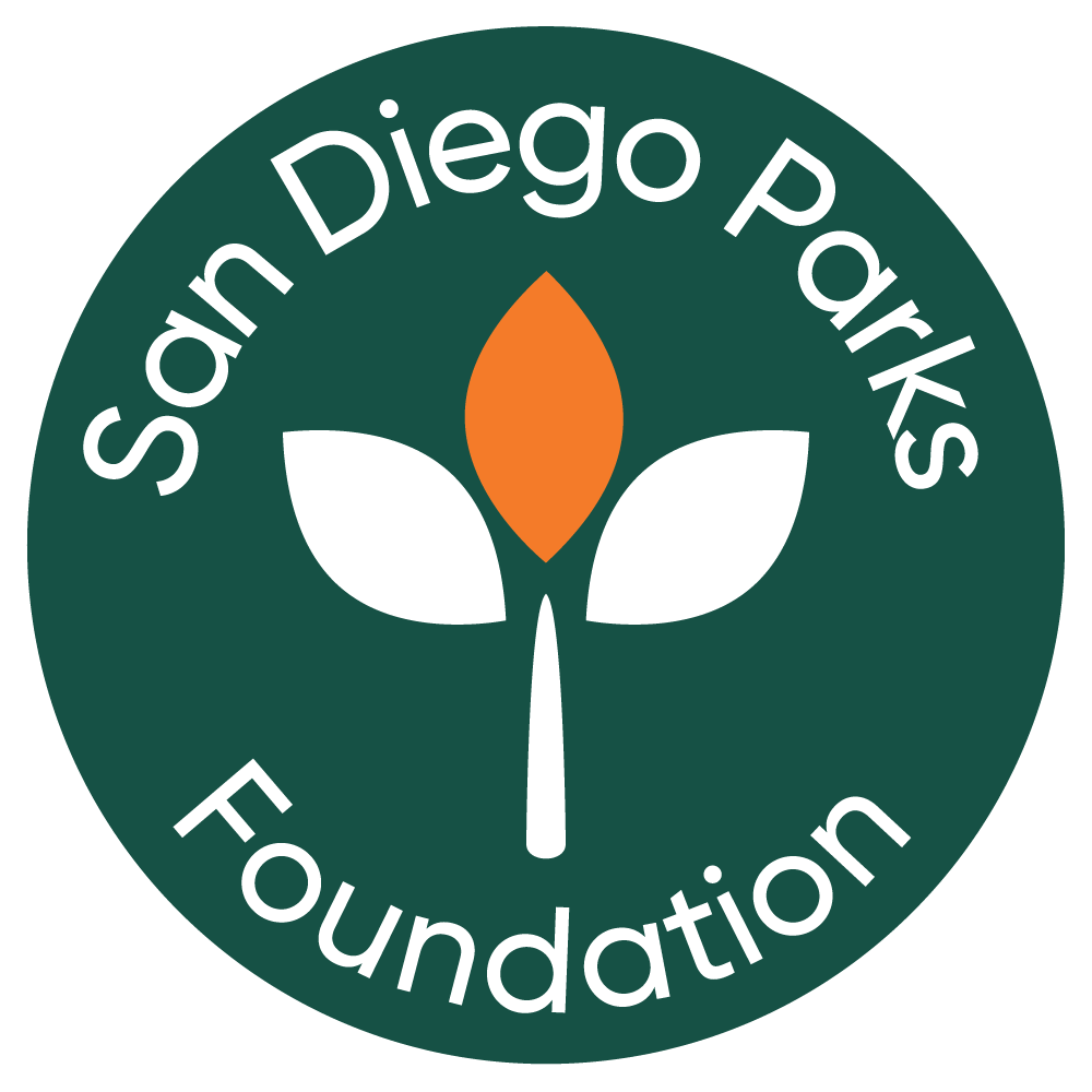 come-play-outside-free-summer-program-for-kids-sd-parks-foundation