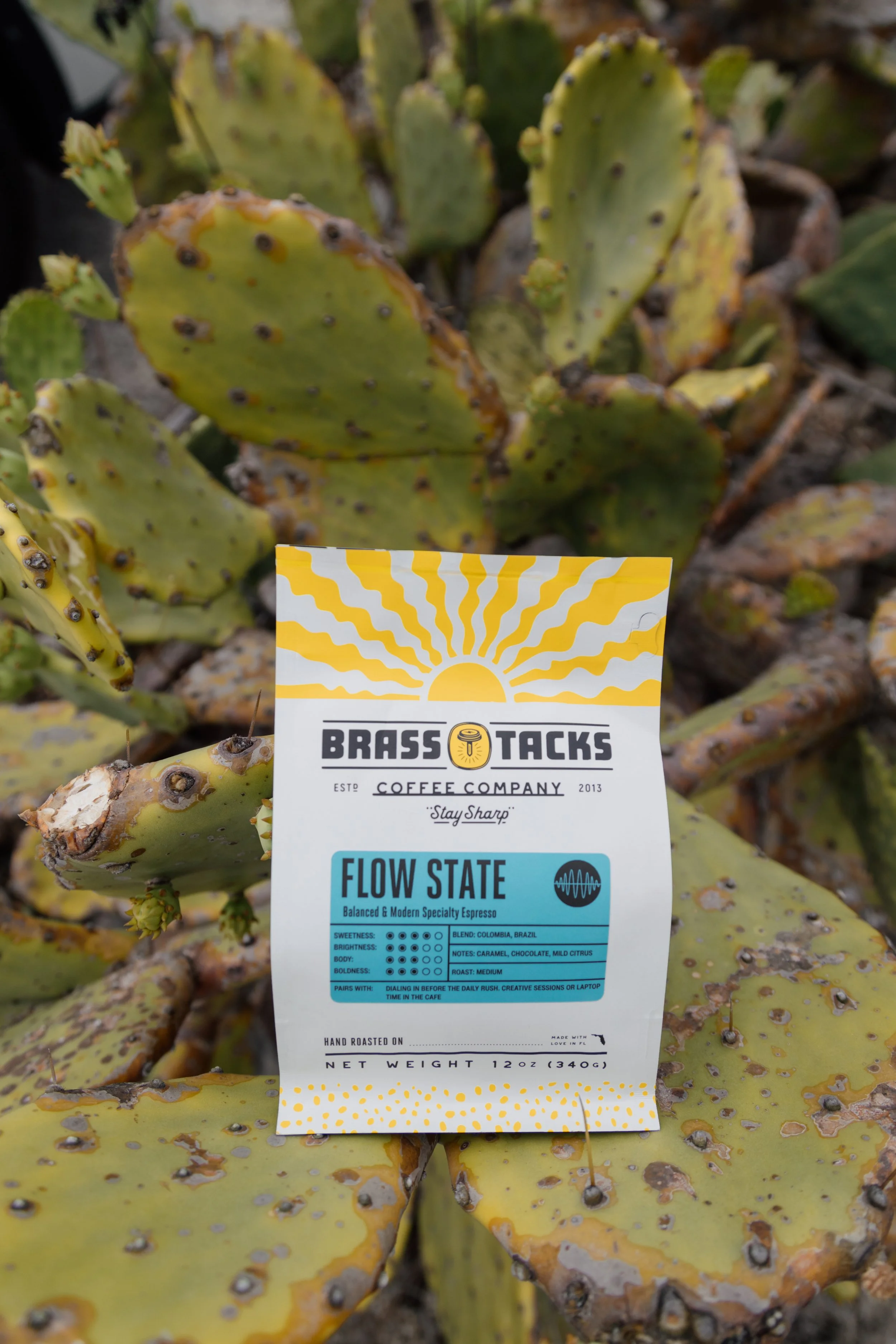 Close-up view of a cactus plant with yellowish-green pads covered in small black and brown spots. There is a promotional tag from Brass Tacks Coffee Company attached to the cactus, advertising a coffee blend called Flow State, with details about flavor notes and roast level.
