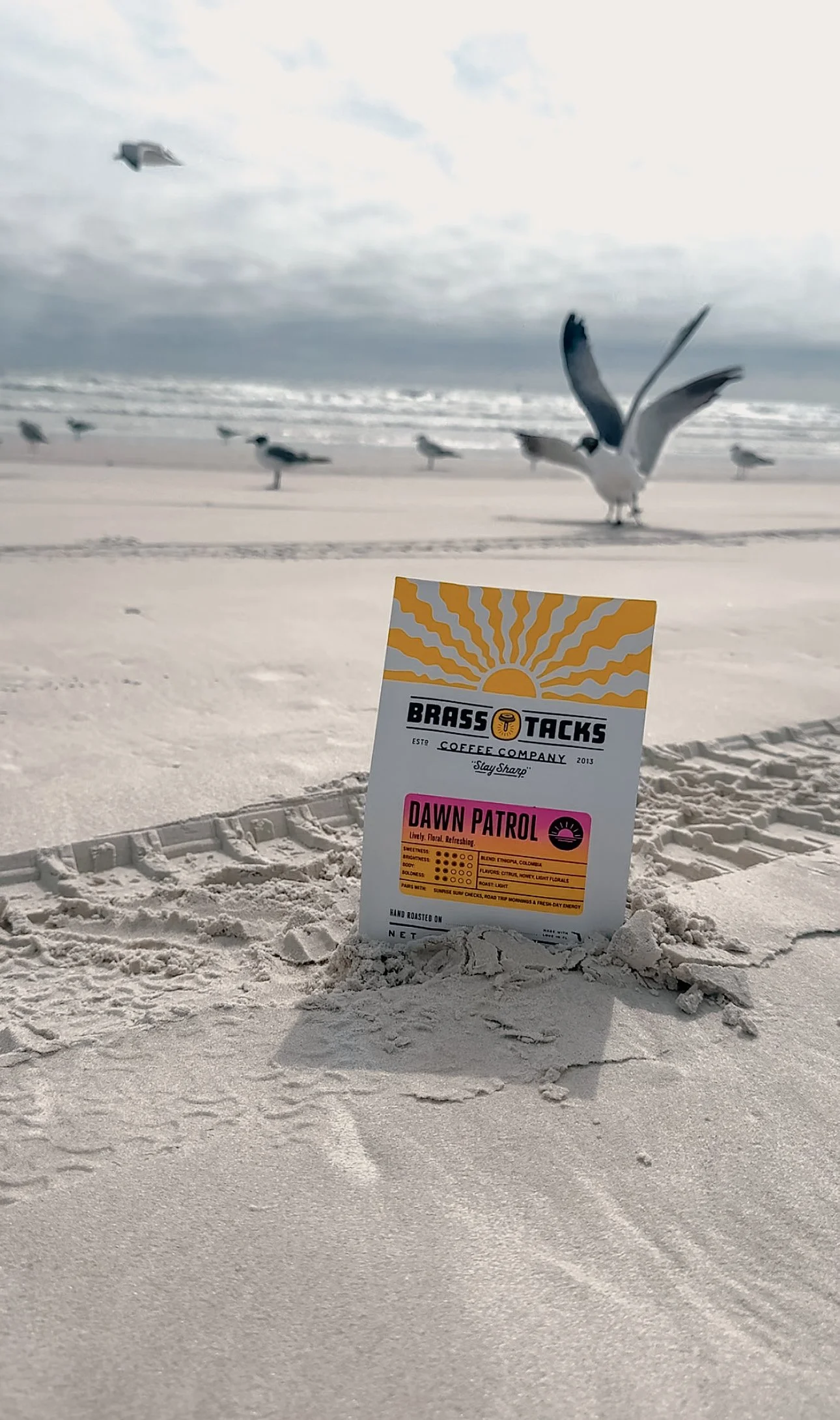 A beach scene with seagulls and waves in the background, a branded coffee info card in the foreground planted in the sand.