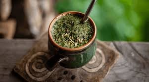 yerba mate the abundant lotus.jpeg