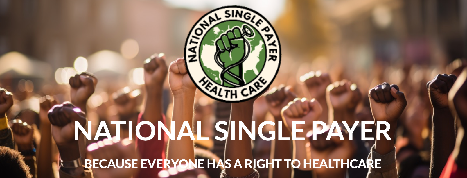 National Single-Payer Town Hall