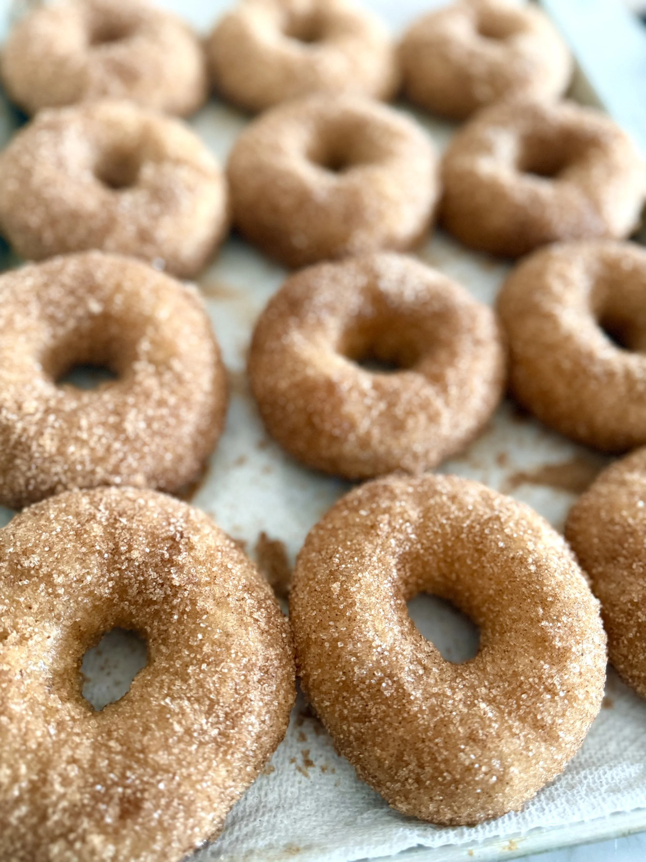 NEW! GF Vegan Fried Apple Cider Donuts