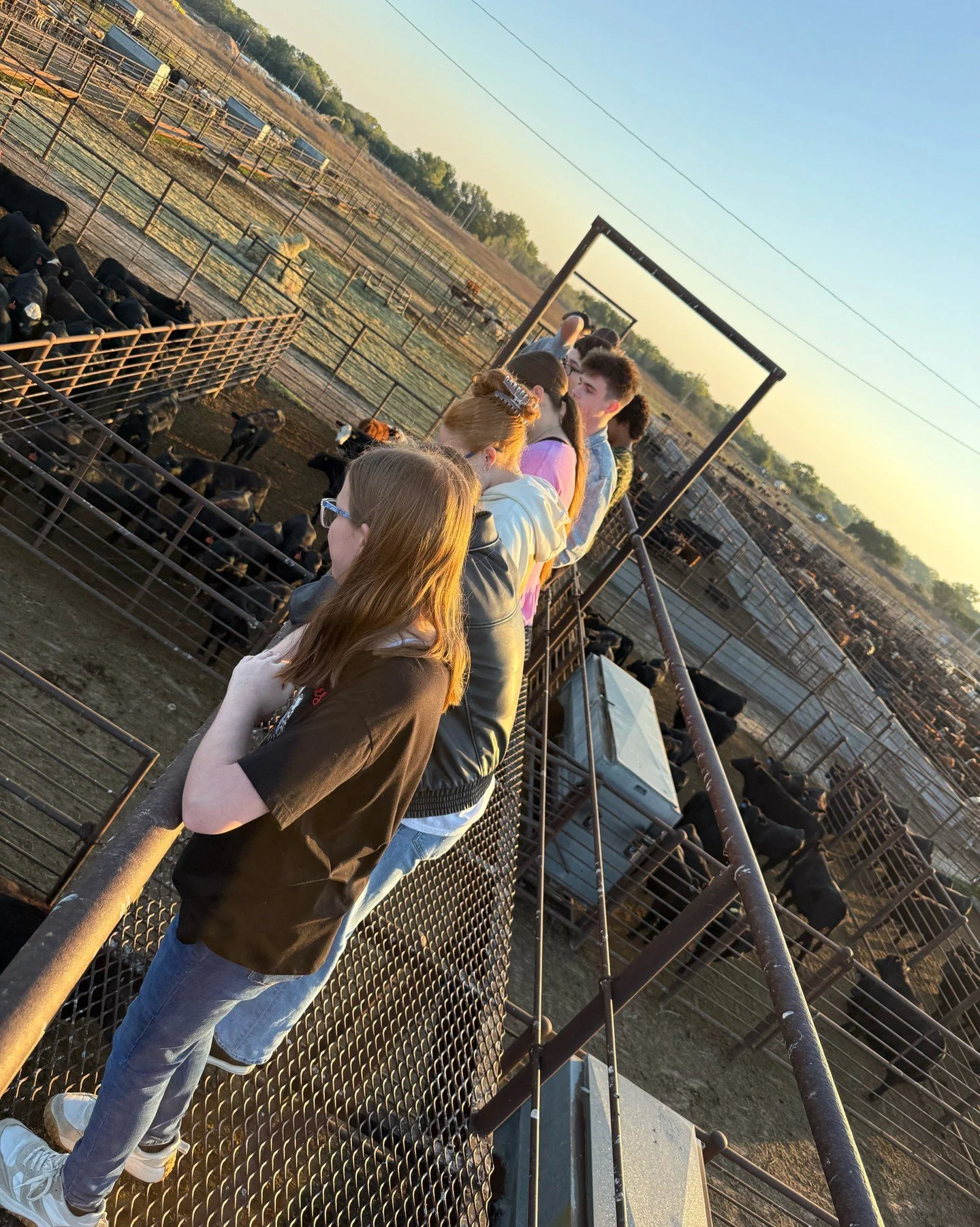 Upperclass TAP students enjoyed a day at the sale barn, learning about the importance of agriculture, sales, marketing, and business career opportunities &mdash; as well as where our food comes from! 🐄🌾📈