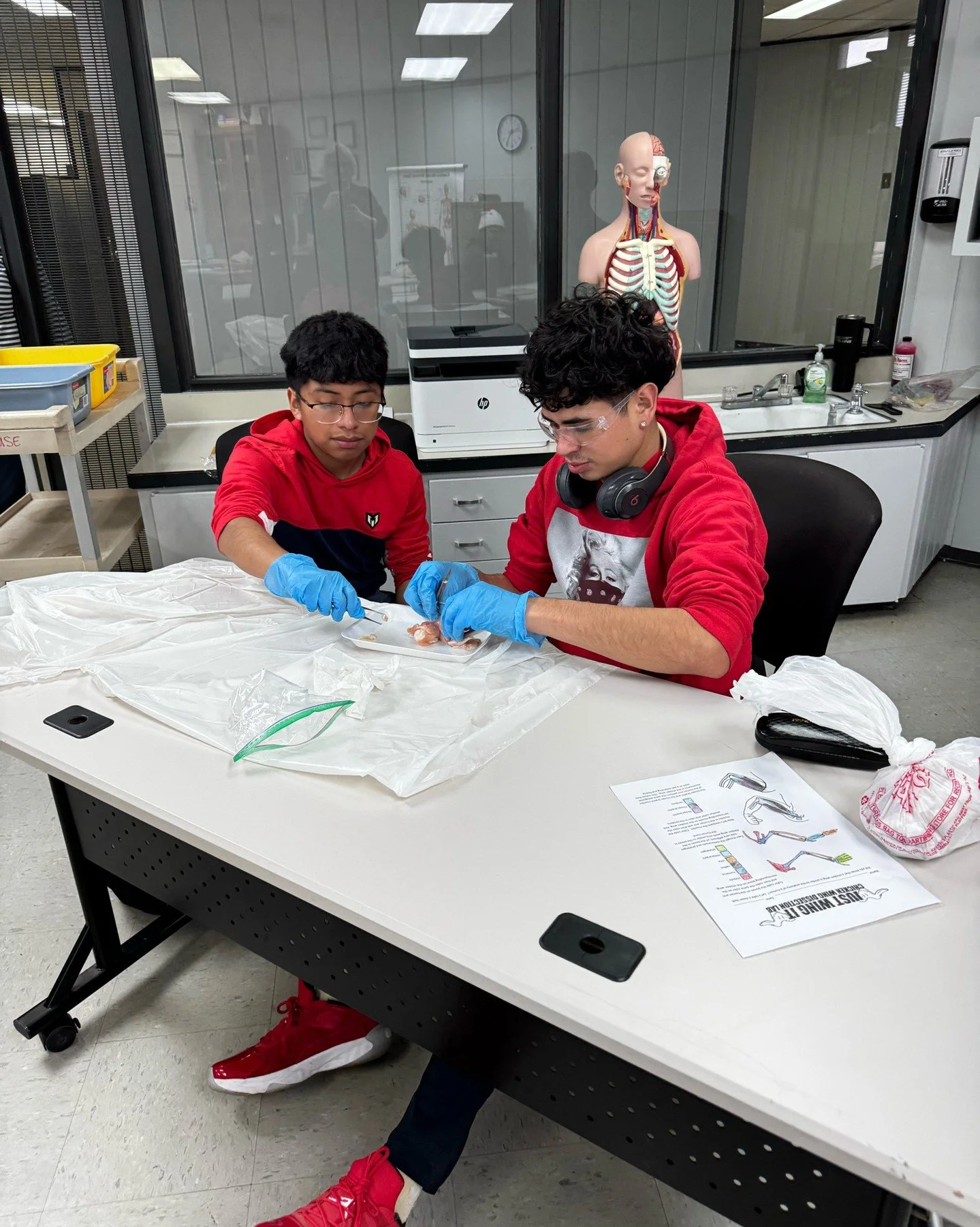 Health Careers students in Beaver County explored muscles and bones today by dissecting a chicken wing 🐔🩻. It&rsquo;s amazing to see just how many similarities there are between a wing and the human arm &mdash; hands-on learning at its best! 💪📚