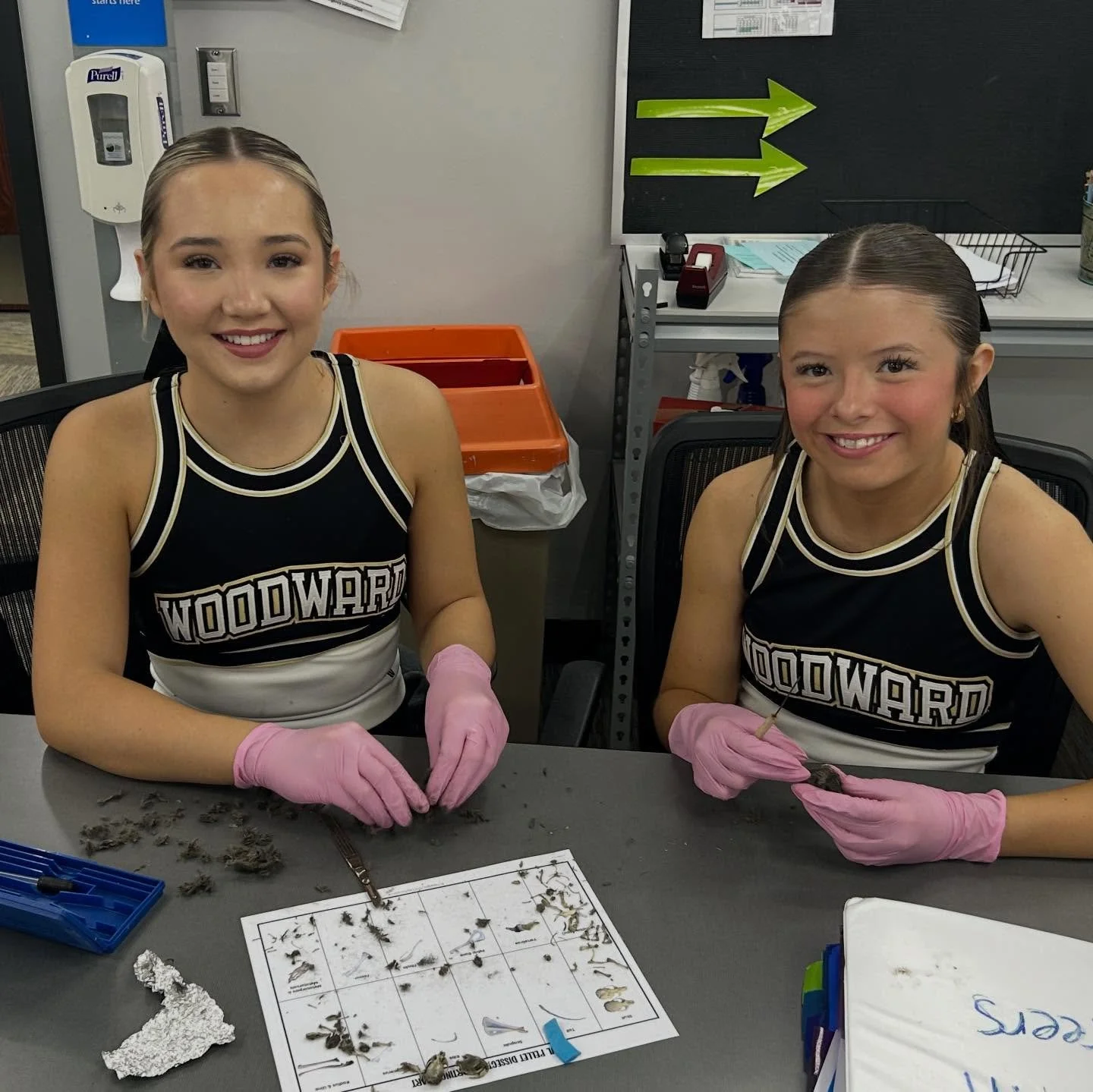 Health Careers students recently had the opportunity to dissect owl pellets, allowing them to identify and study different bones while gaining a hands-on understanding of anatomy.