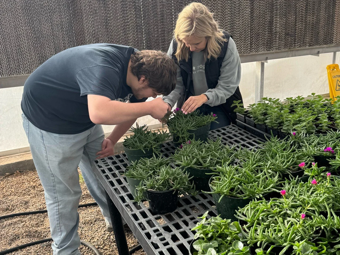 🌱🌼 Save The Date: The HPTC Service Careers Annual Plant Sale 🌼🌱

Mark your calendars! Our annual plant sale is scheduled for April 15th and 16th.
Students have already been working very hard in the greenhouse, nurturing and preparing a beautiful 