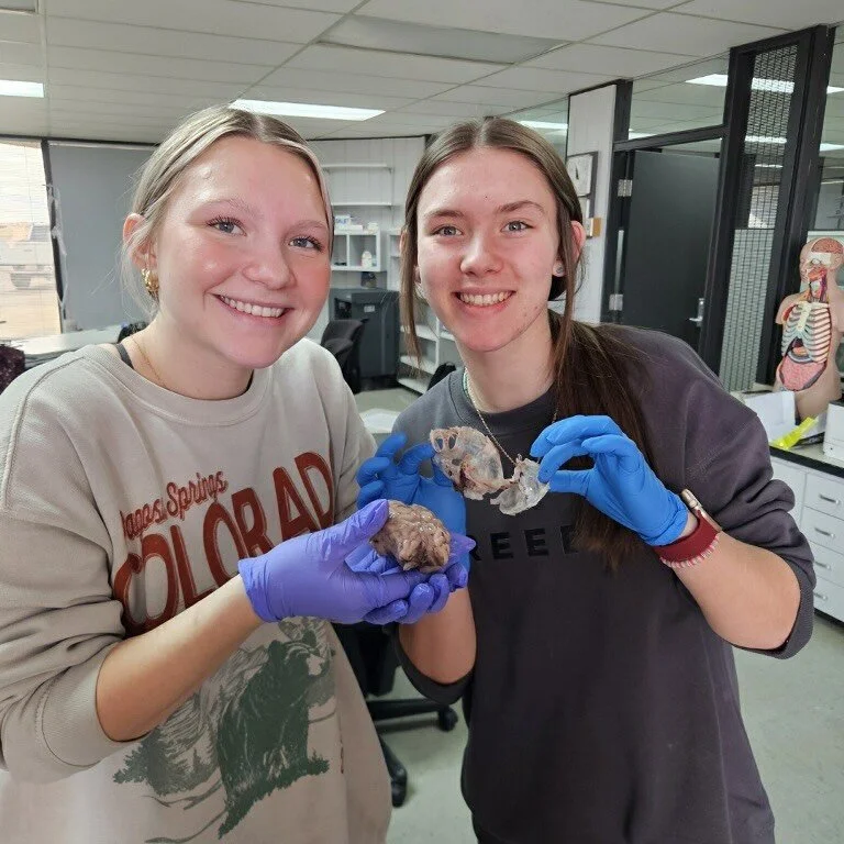 🫀 Hands-on learning in Health Careers!

Beaver County Health Careers students have been studying the heart and are now putting their skills to work in the lab. Students are performing environmental swabs to culture bacteria, preparing slides, and ex