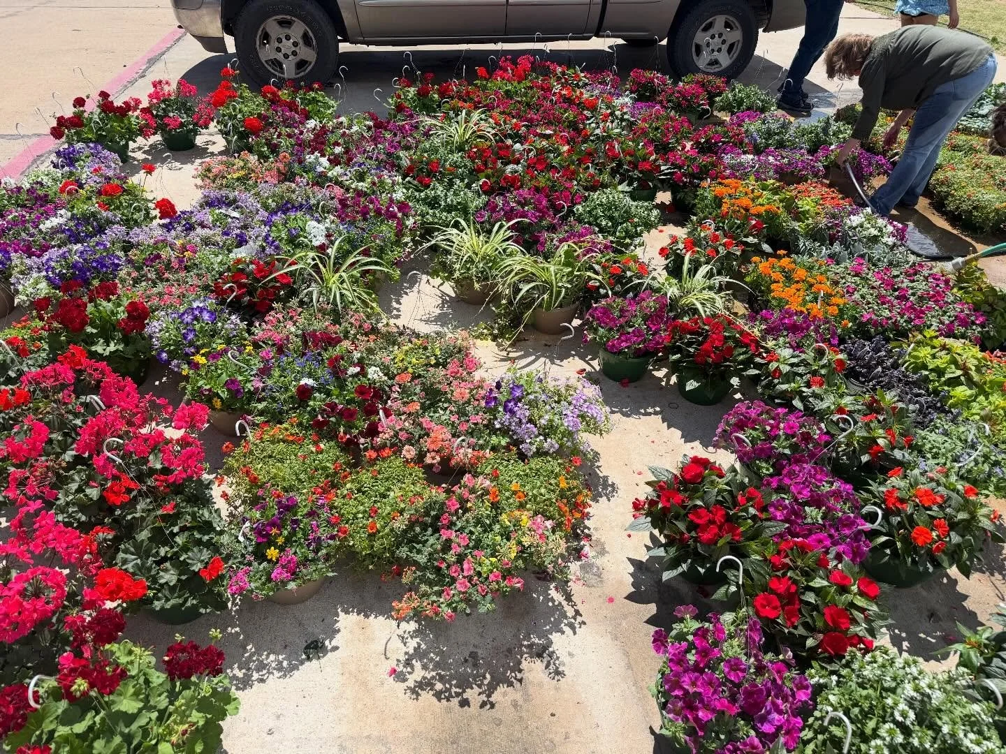 🌿 April 13 &ndash; 2 Days to Go

🌸 2 days away!

The HPTC Plant Sale is almost here&mdash;April 15 (9 AM &ndash; 6 PM) and April 16 (8 AM &ndash; 3 PM).

📍 3921 34th St, Woodward

Come support multiple programs while you shop&mdash;plants from Ser