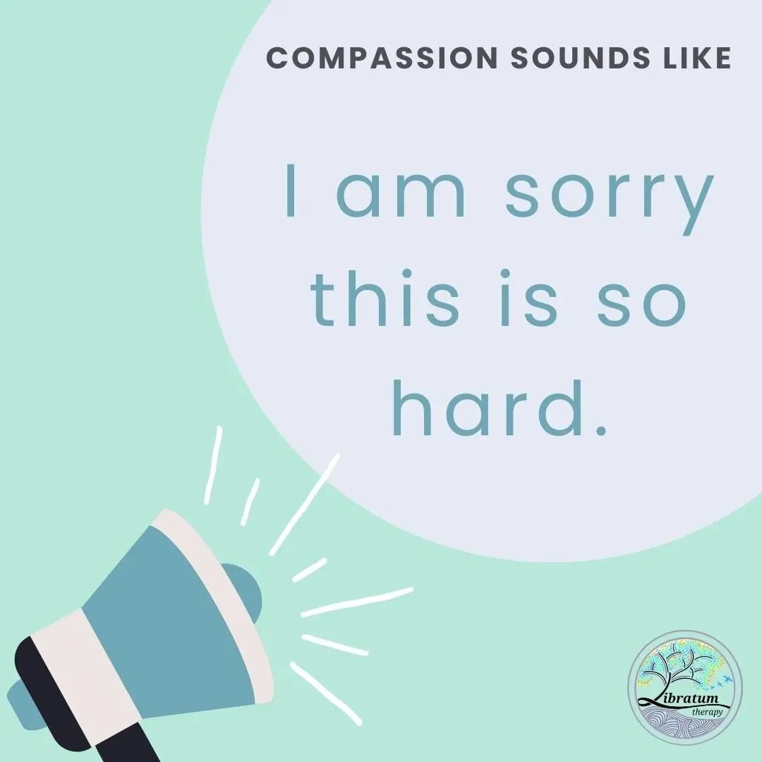 In previous posts I spoke about how compassionate statements sounds like:
Stop!
I can see that you&rsquo;re scared and you&rsquo;ve got this!

Compassion can also sound like: &lsquo;I'm sorry this is so hard&rsquo;.

We can add in different words to 