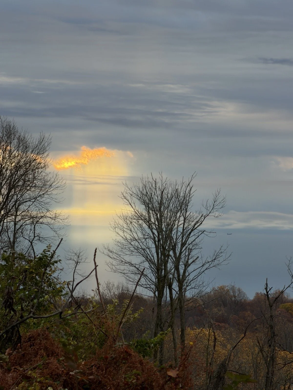 Health Is Built, Not Fixed