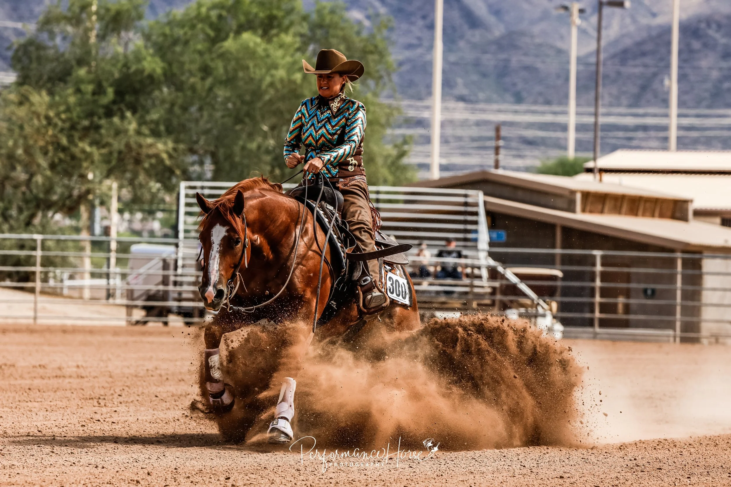 Meet the Team — Steve Ross Reining Horses