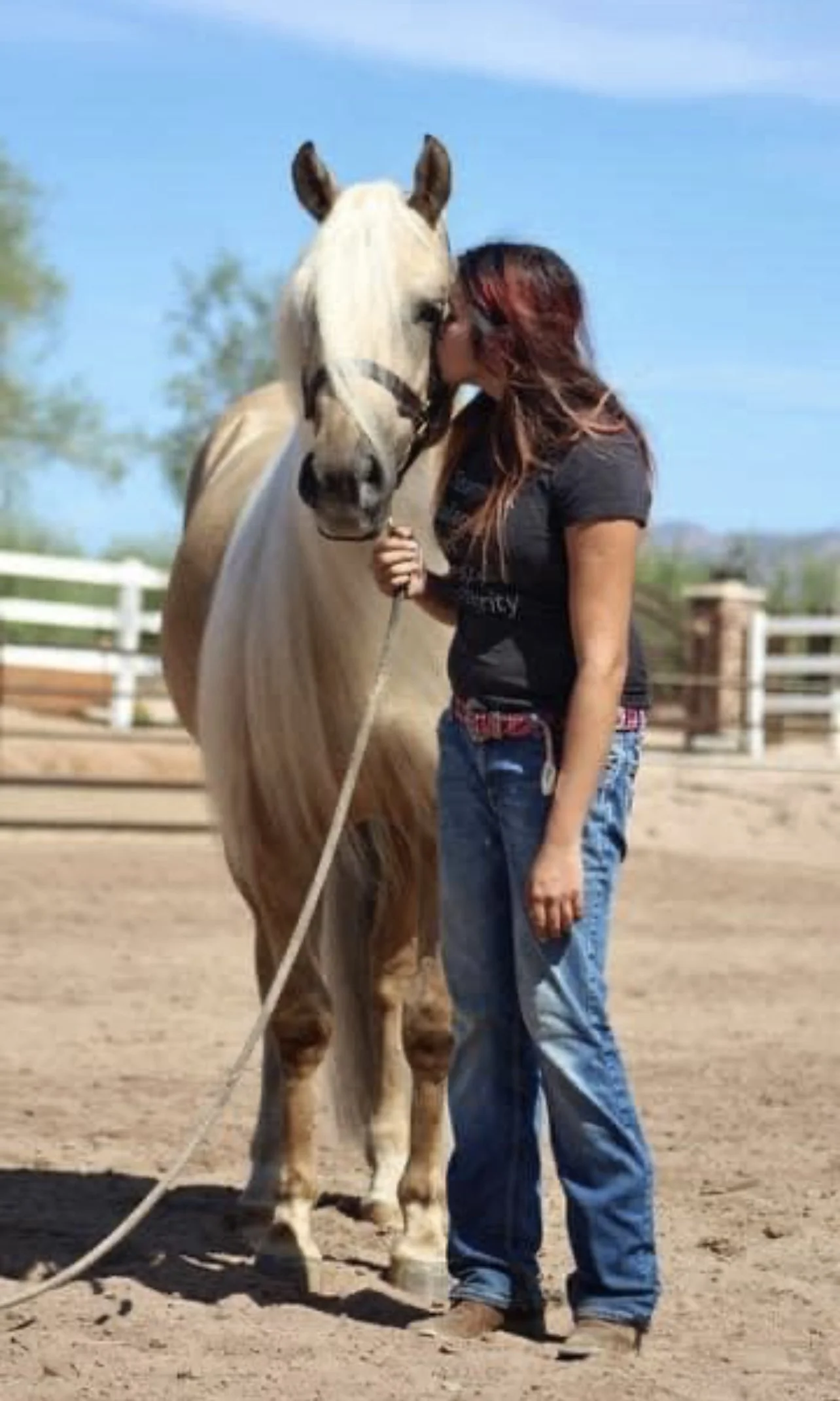 A Special Day: A Girl and Her Horse