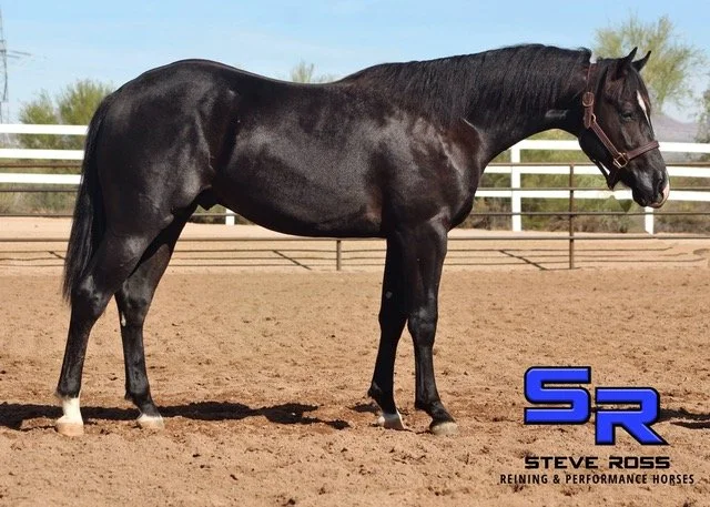 Blake Colt Once in A blue boon.jpeg