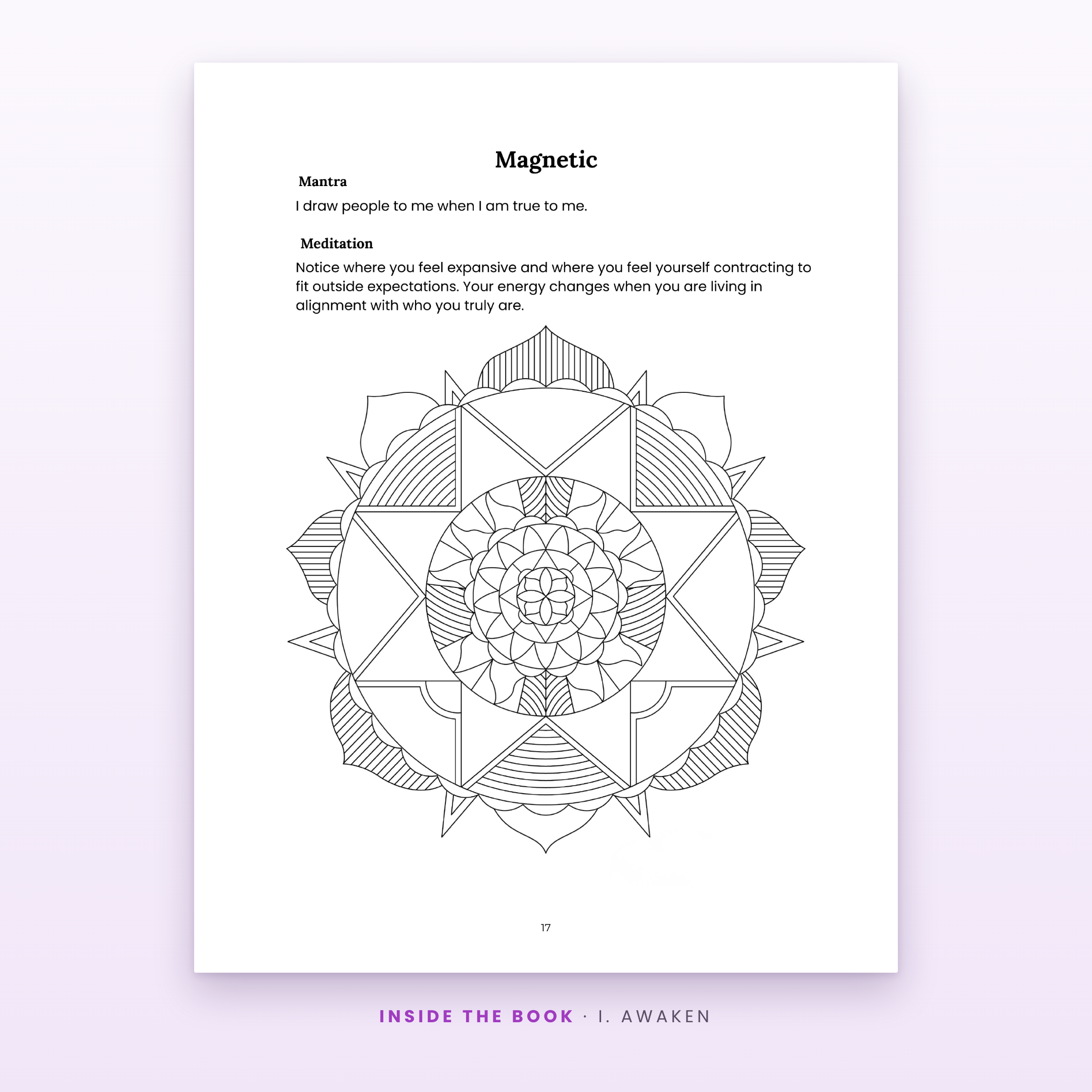 inside_magnetic.png (Copy)