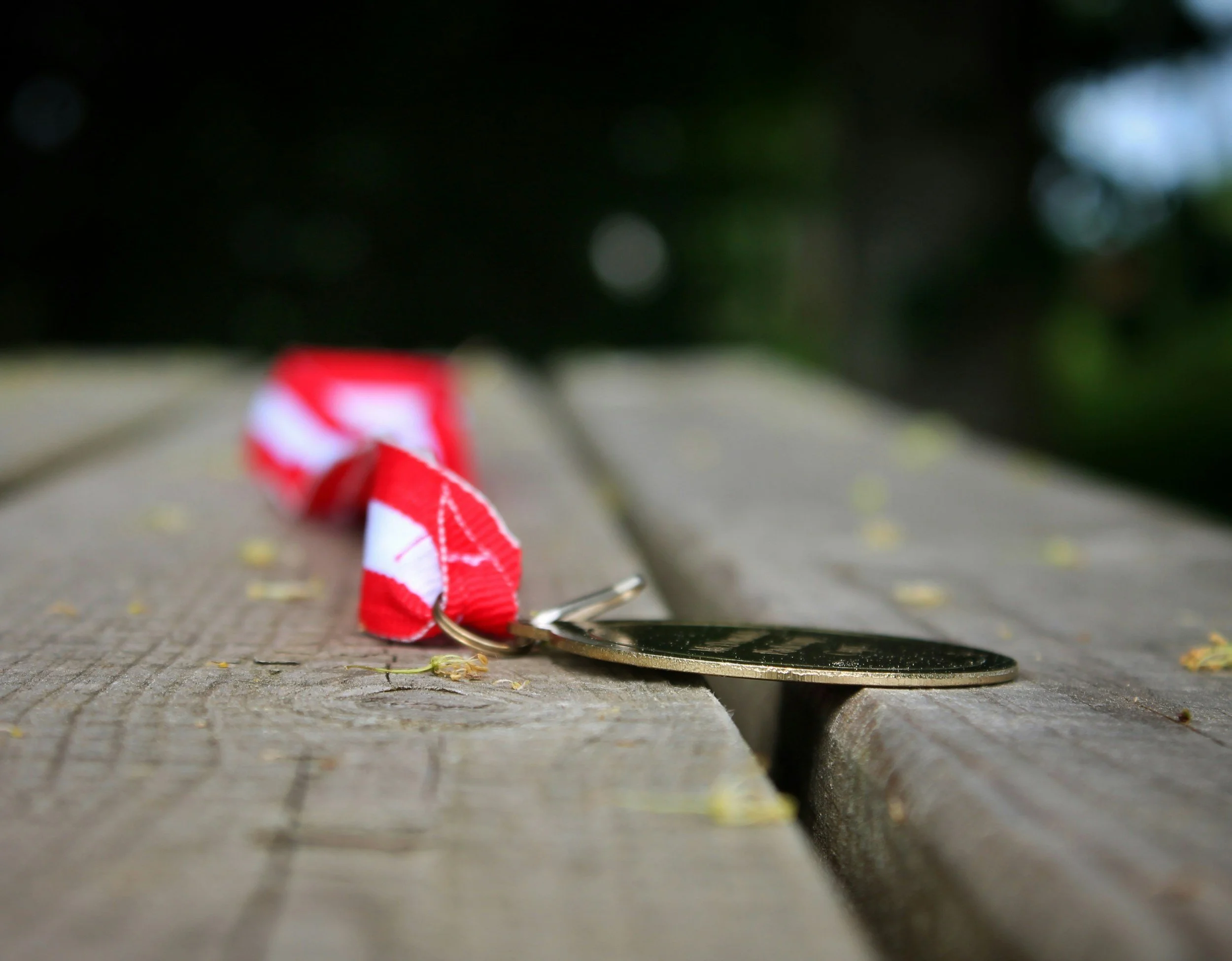 112th Members' Medal Show