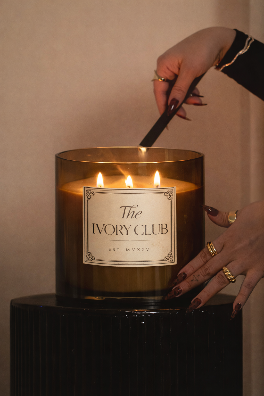 ChatGPT Image Feb 11, 2026, 10_04_14 PM.png