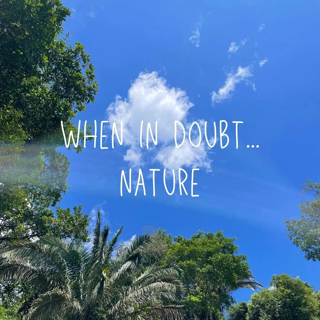 A veces siento que como especie hemos perdido el rumbo, y en parte se debe a que nos alejamos de nuestras ra&iacute;ces, de nuestra esencia.

La naturaleza es parte de esa esencia. Hace poco vi un post de @zachbushmd en el que hablaba de la sensibili