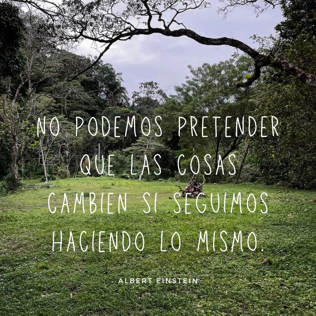 Mi mantra para el 2026, abrazar el cambio, fluir, no tom&aacute;rmelo tan en serio, sostener una mirada curiosa, experimentar, hacer las cosas diferentes! Se vienen cambios y el cambio es bueno, aunque asusta. Es saltar al vac&iacute;o mientras senti