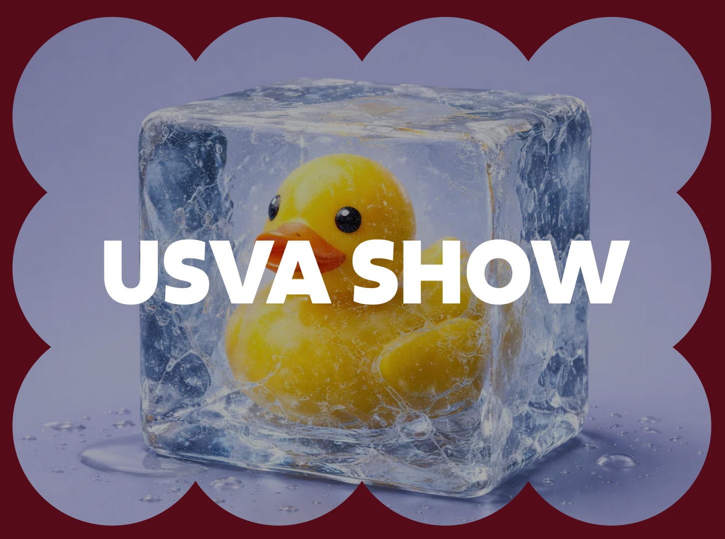 USVA Show 