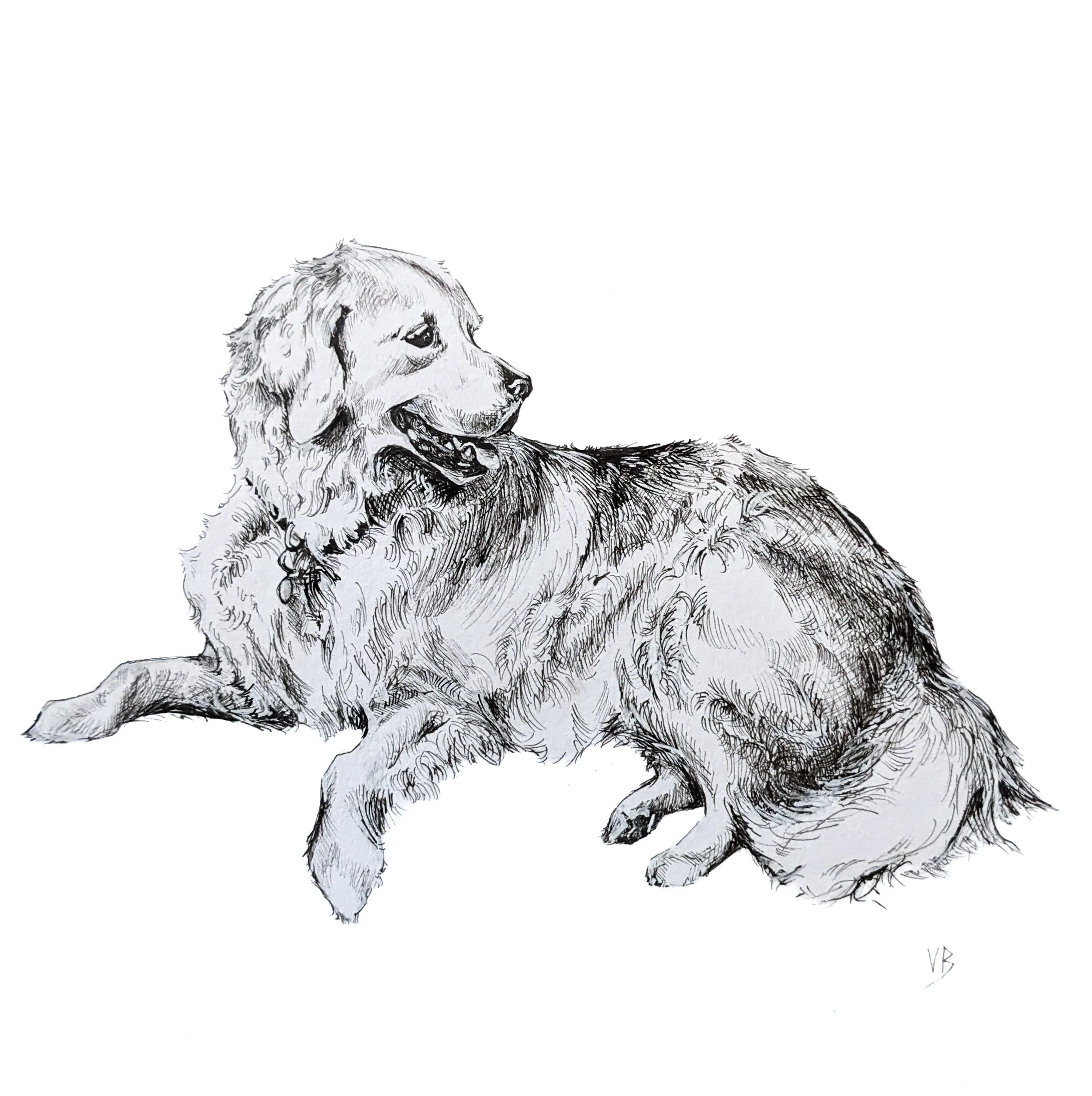 Pet Portraiture