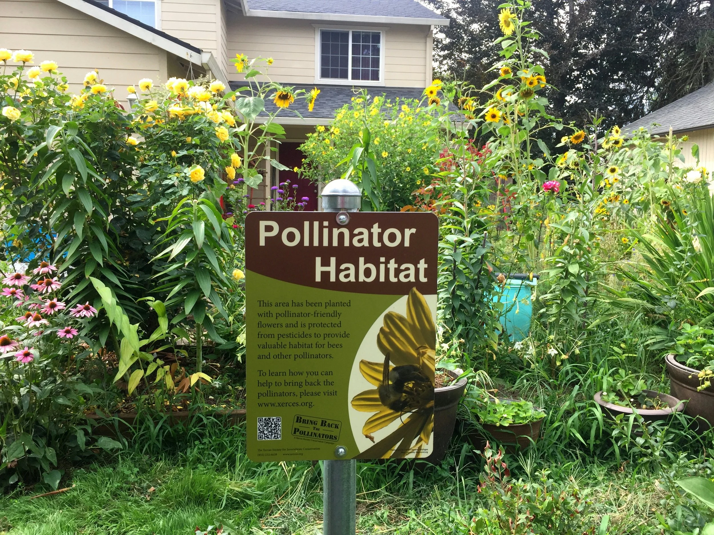 Bumble Bee Conservation Through Community Science — Utah Pollinator Pursuit